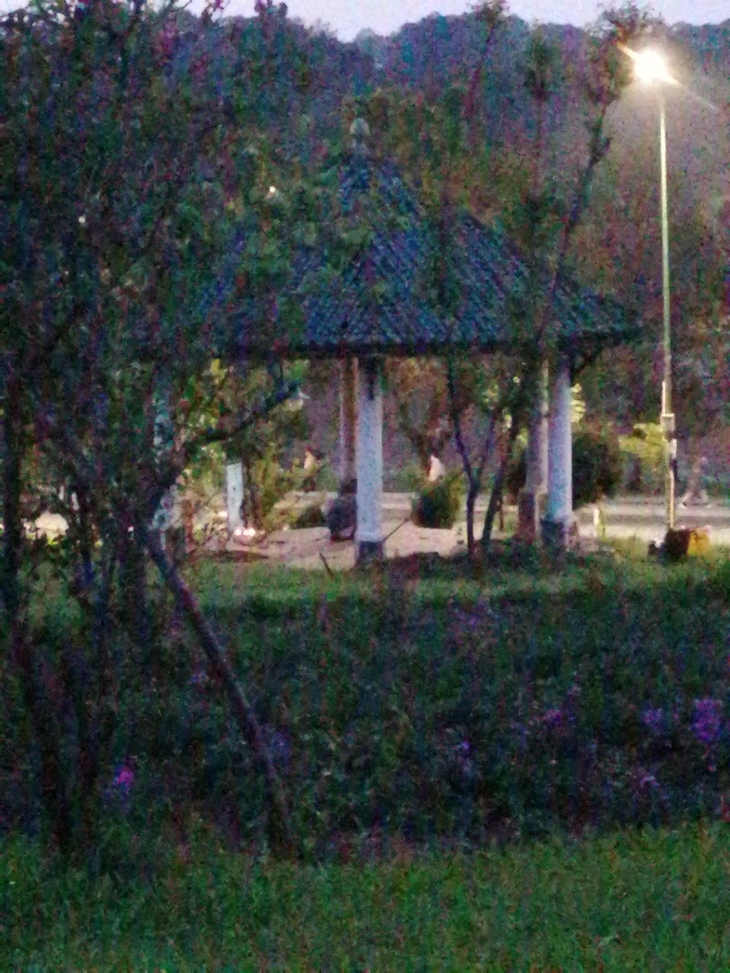 In Da Lat, Vietnam, a dimly lit scene captures a park setting. In the foreground, lush green grass, interspersed with dark vegetation and subtle hints of purple flowers, fills the bottom portion of the frame. A tree with dark branches partially obscures the view to the left. Dominating the midground is a hexagonal gazebo with a dark tiled roof supported by white pillars. Behind the gazebo, the ground appears to be paved with a lighter material, and the landscape rises into a dark, tree-covered hill. To the right of the gazebo, a tall, slender lamppost with a bright light illuminates the area, casting a glow on the surrounding trees and the distant hill. The overall atmosphere is subdued, suggesting it is either early morning or late evening.