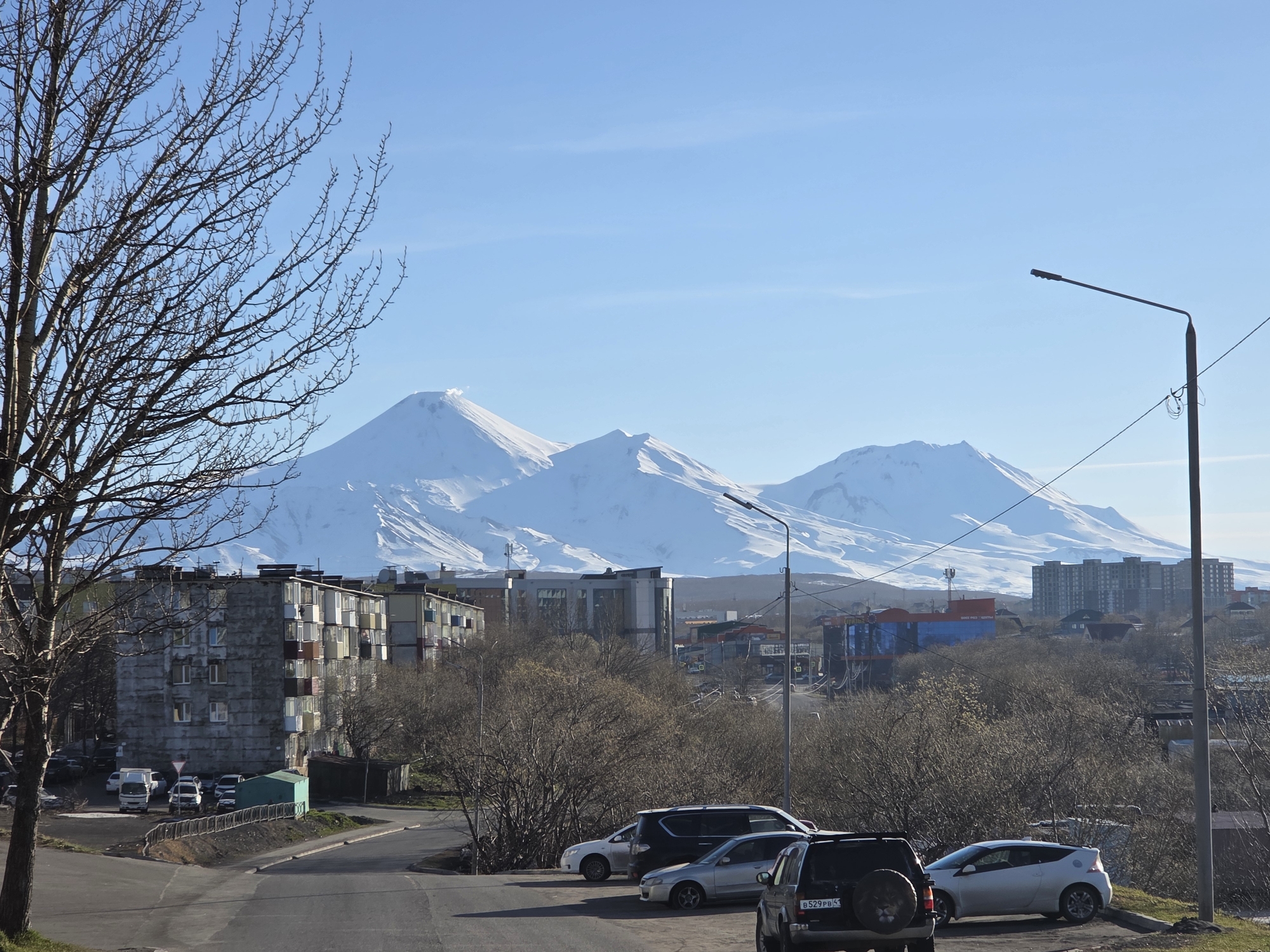 The image shows a view in a city, possibly located in a mountainous region. In the foreground, there's a street with parked cars, including a black SUV with a visible license plate reading "B 529 PB 41". A bare tree stands on the left side of the frame. In the midground, there are apartment buildings and a variety of other structures, partially obscured by trees without leaves. In the background, there is a range of snow-covered mountains under a clear blue sky. A street light is also visible on the right side of the frame.