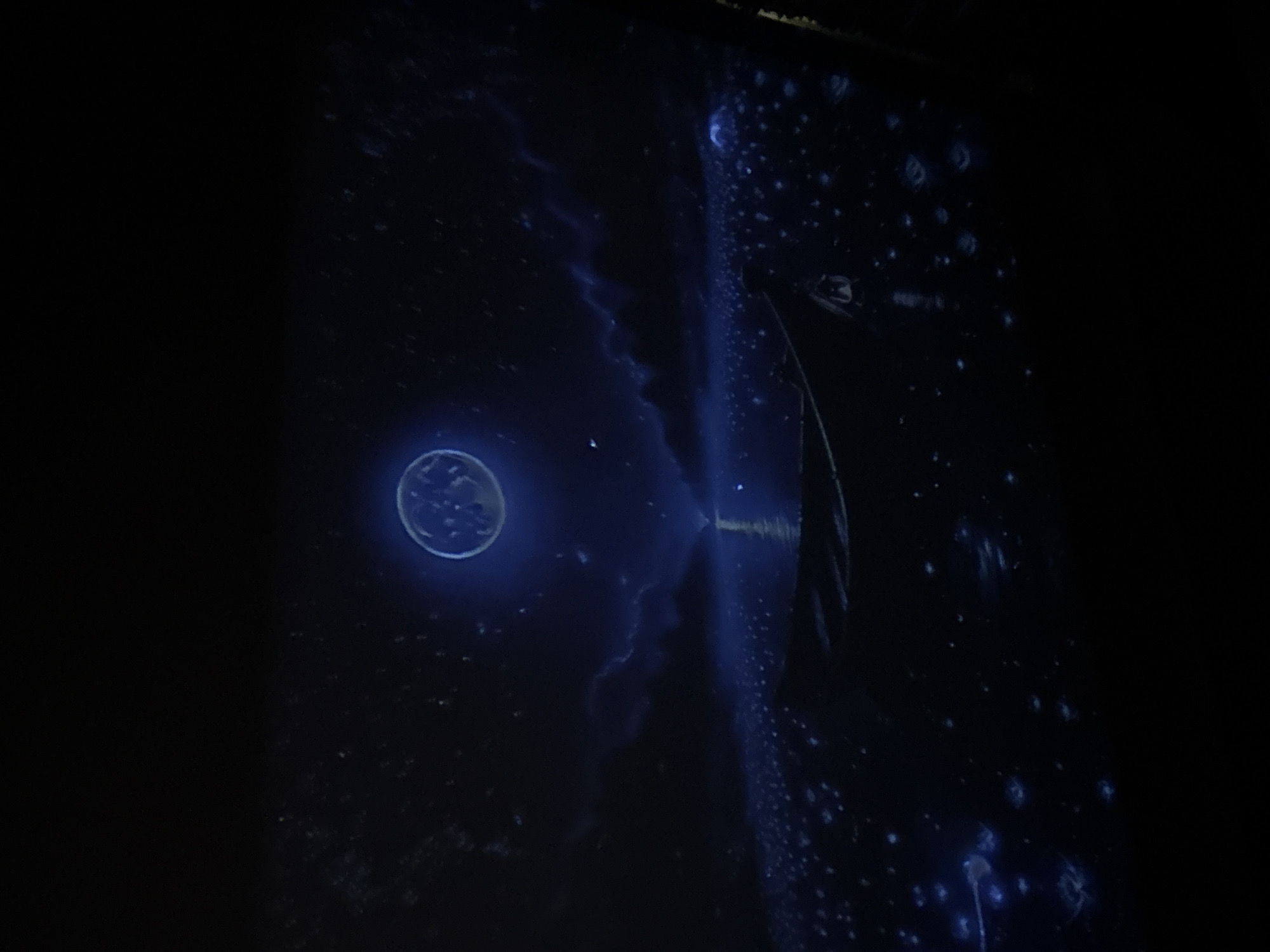 The image depicts a dark, nocturnal scene with a prominent full moon casting a blue glow over a body of water. Stars are visible in the night sky, and ethereal blue lights dot the water's surface. In the foreground, a boat is present, with a lone figure standing within it. The overall ambiance is serene and mystical. The image does not contain any identifiable landmarks or elements that would allow for its location to be determined in the city of Tbilisi, Georgia.