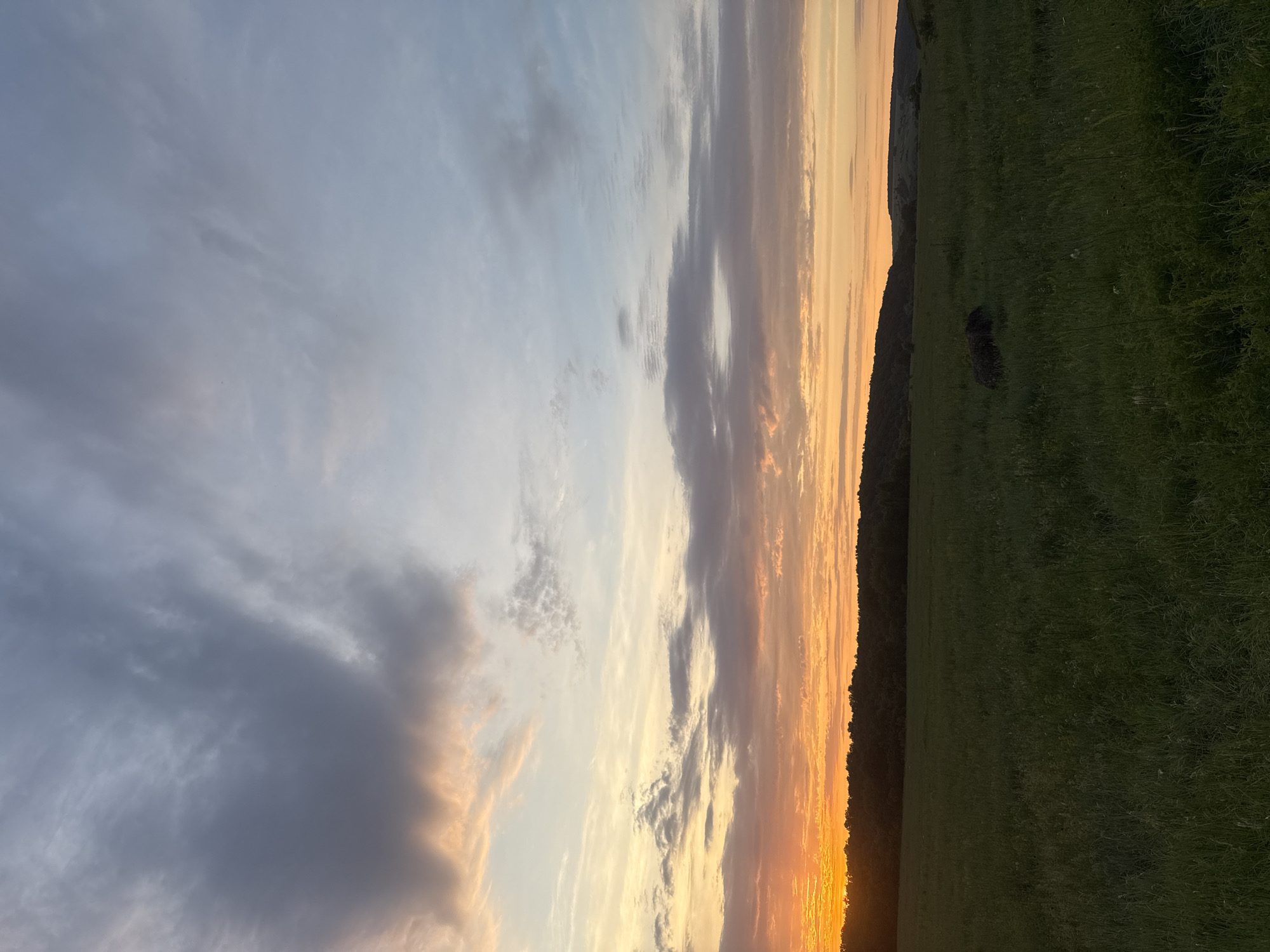 This is a photograph of a sunset over a grassy field with a treeline in the distance. The sky is filled with clouds, with the lower portion displaying vibrant orange and yellow hues from the setting sun. The upper portion of the sky is a lighter blue with streaks of gray clouds. The field in the foreground is a lush green, with tall grass and some scattered wildflowers. A dark, lumpy object, possibly a bale of hay or a pile of brush, is visible in the middle ground of the field. The treeline behind the field is dense and dark, forming a silhouette against the colorful sky. The photograph appears to have been taken from ground level, looking out towards the horizon. The location is identified as Lbishche, Russia.