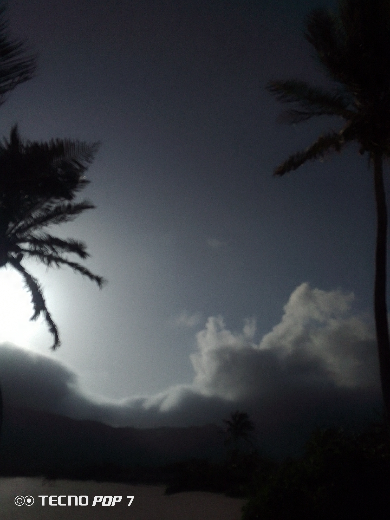 The image depicts a landscape in Pedro González, Venezuela at dusk or dawn. Silhouetted palm trees frame the scene, one on the left and another on the right. Low-lying clouds obscure a mountain range in the background. The sky transitions from a brighter, lighter hue near the horizon to a darker shade higher up. The foreground consists of vegetation that is also silhouetted.