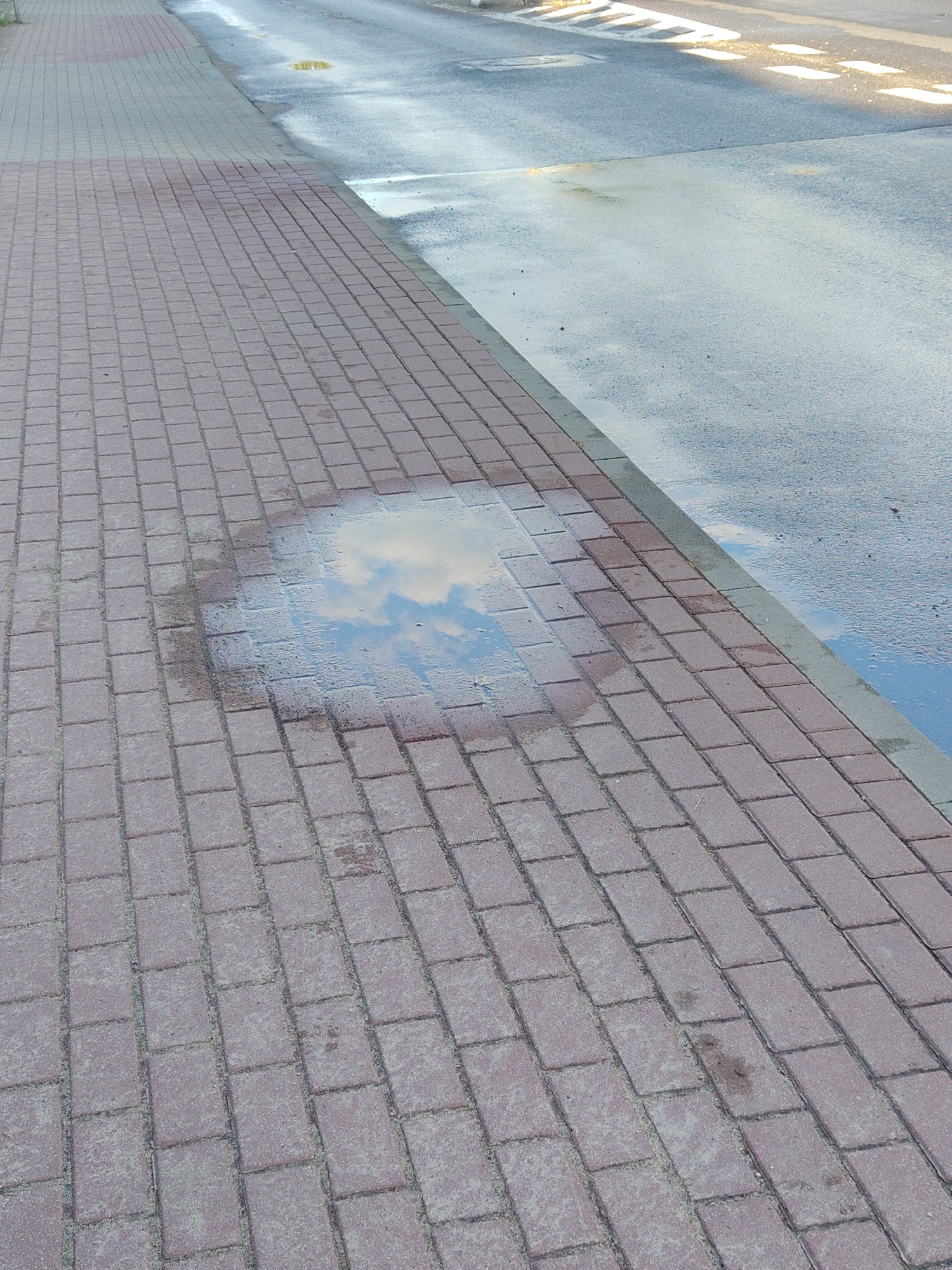 A puddle reflects the sky on a wet paved sidewalk next to a road in Nowy Dwór Mazowiecki, Poland. The sidewalk is made of rectangular red pavers laid in a running bond pattern. The road appears to be asphalt and is also wet, with reflections of streetlights or sunlight. The image is taken from a slightly elevated angle, looking down at the sidewalk and road. There are no people or vehicles visible in the frame.