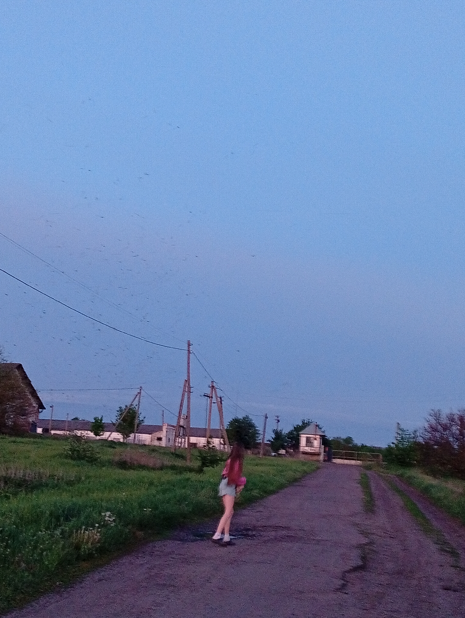 The image shows a rural scene in Fediivka, Ukraine. A young woman wearing a pink top and light-colored shorts is walking on a dirt road. The road is bordered by grass and vegetation on both sides. In the background, there are wooden utility poles and wires crossing the sky. Several buildings, including a stone structure and a white, rectangular building, are visible in the distance. The sky is blue with a large number of small black objects floating in the sky. A gate and small structure are visible at the end of the road.