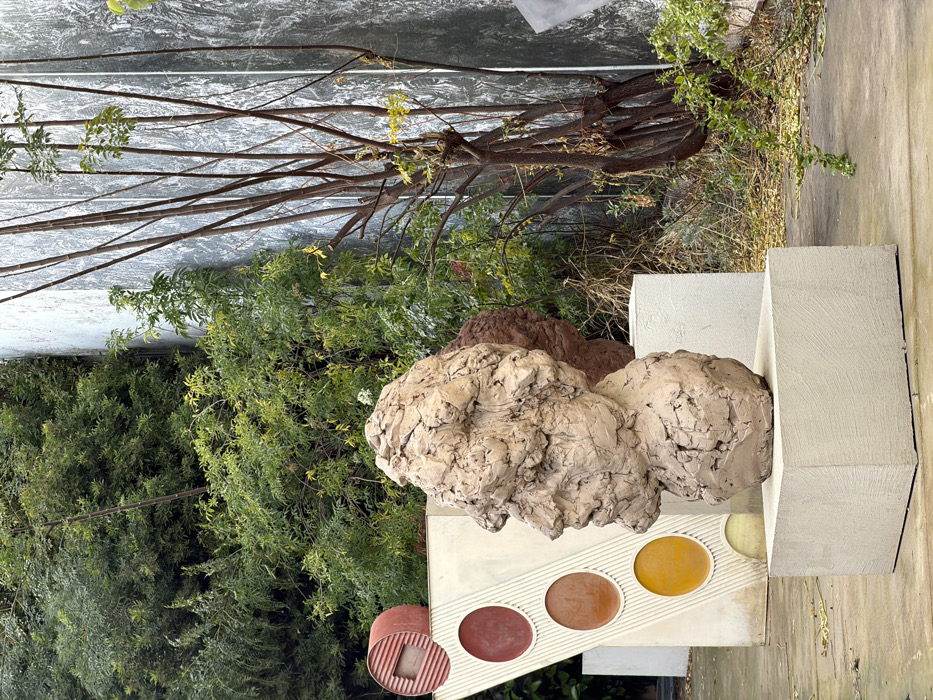 The image depicts an outdoor sculptural installation located in Tel-Aviv, Israel. In the central foreground, a large, light-brown sculpture of a human head, presenting a rough, textured surface, is shown in left profile. This sculpture rests on a rectangular, light-colored plinth. To its left and slightly behind, a darker, reddish-brown sculpture, possibly another head, is partially visible. Further left, an abstract, tall, off-white triangular or wedge-shaped structure features three distinct circular insets, colored red, orange, and yellow from top to bottom. Above and to the left of this structure, a red, ribbed cylindrical object is discernible. The background consists of dense green foliage and shrubs on the left, transitioning to a section with sparse, thin-branched trees exhibiting some yellowish leaves on the right. A tall, light-colored wall with vertical striations or panels, possibly concrete or metal, forms the far-right background. The ground is a light-colored paved surface, likely concrete, with minimal scattered organic debris. No human figures or dynamic actions are present in the scene.