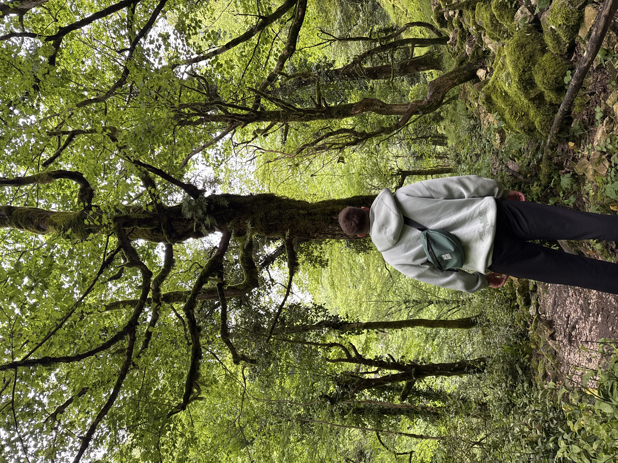 A person stands on a mossy path in a forest near Tsabal, Abkhazia. The individual wears a light-colored hoodie, black pants, and a dark green crossbody bag. The person bends forward, looking down. Moss covers tree trunks and branches, and green foliage is abundant. The image perspective is low, looking upward.