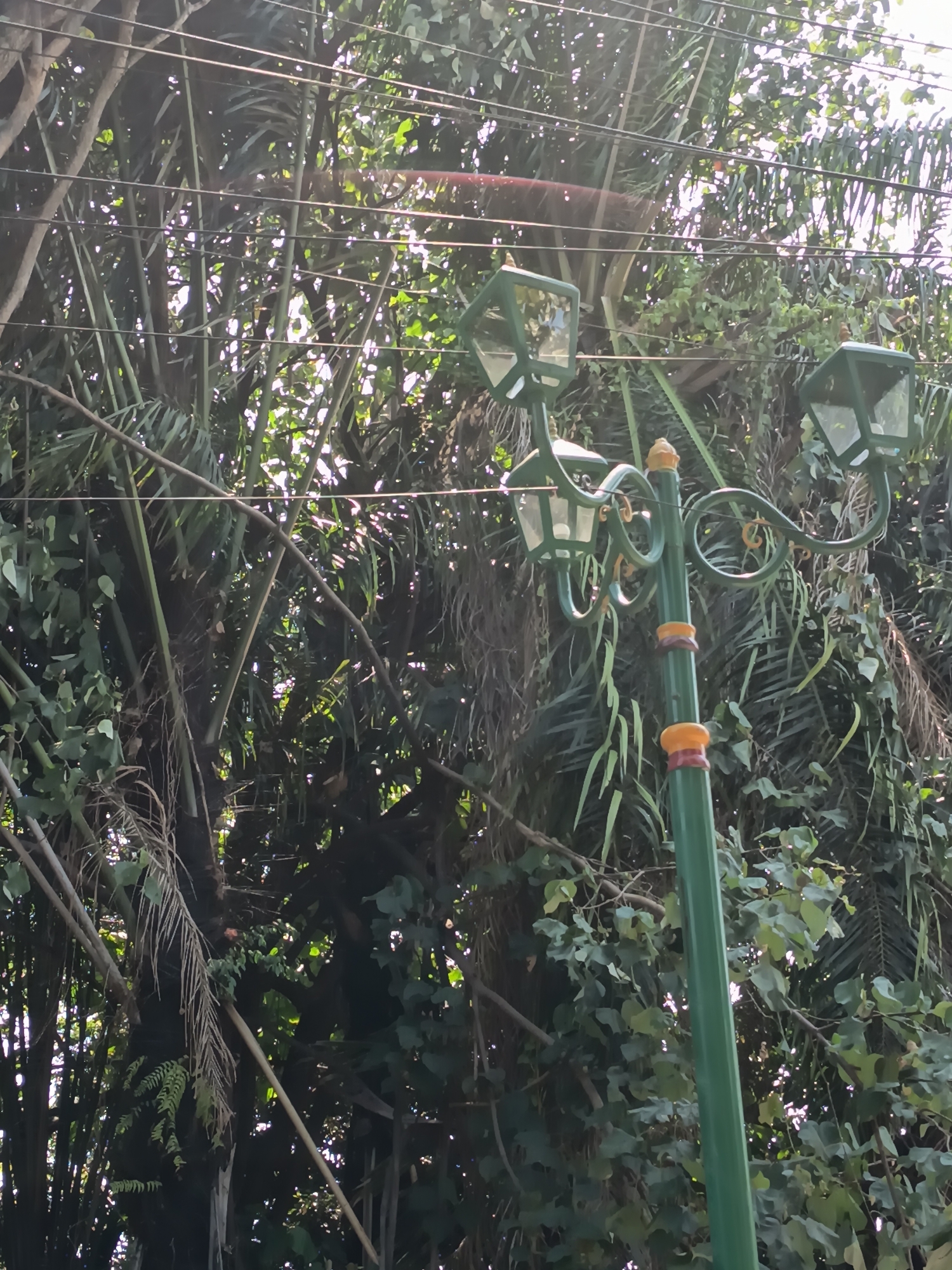 A green, decorative lamppost with two lights is positioned in front of dense foliage, likely in an outdoor urban setting. The lamppost has ornate scrolled arms holding the two glass lanterns. The foliage consists of various green leaves and fronds, suggesting a tropical or subtropical environment. Power lines are visible crisscrossing above the foliage. The scene appears to be a bright day, with sunlight filtering through the leaves. The location is identified as Kandangjati Kulon, Indonesia.