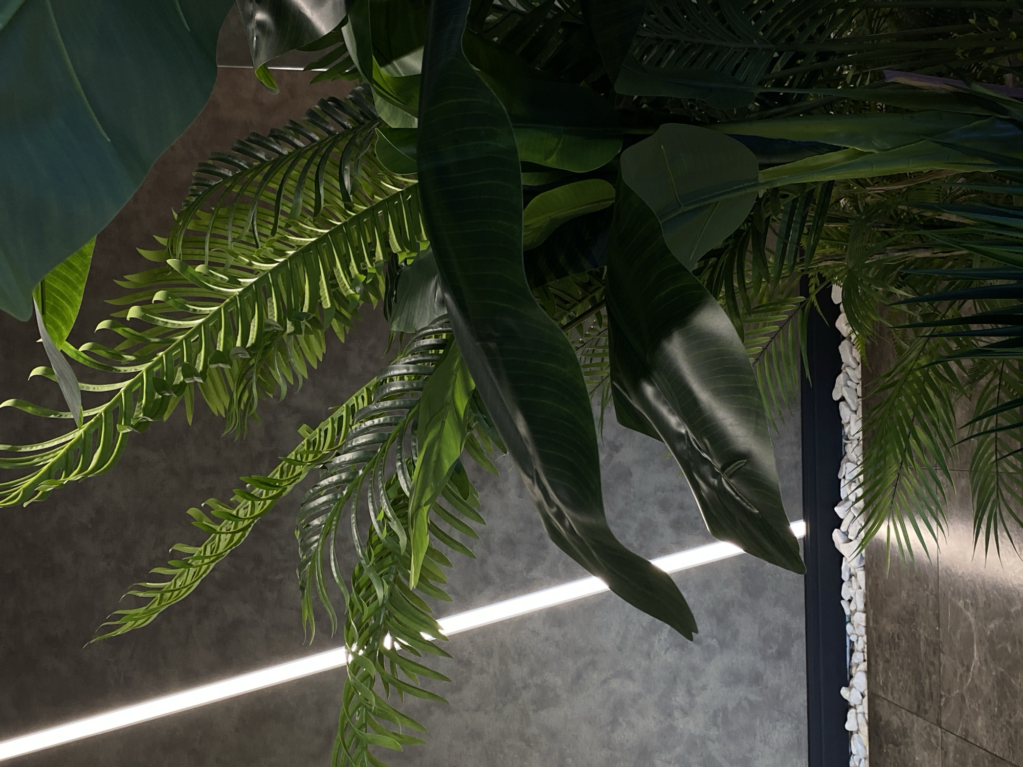 The image shows a low-angle view of lush, green tropical plants in an indoor setting. The plants include ferns and broad-leafed specimens, hanging down and partially obscuring the view of the wall behind. A linear LED light fixture is visible, positioned horizontally behind the foliage, providing illumination. The wall appears to be covered in a dark-colored material, possibly marble or a similar stone, with a vertical band of small white pebbles or stones affixed along one side. There is no evidence to confirm this location to be Votkinsk, Russia. The scene depicts interior design and possibly a decorative plant display. No people are visible in the image.