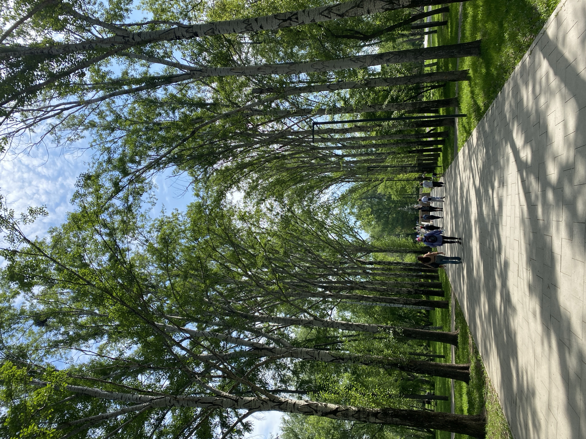 The image depicts a park in Yekaterinburg, Russia. A paved pathway stretches into the distance, flanked on both sides by rows of tall, thin birch trees with distinctive white bark marked with black patterns. The trees' canopies meet overhead, forming a green tunnel over the path, with glimpses of a blue sky dotted with clouds visible through the foliage. Several people are walking along the path, moving away from the camera. Sunlight filters through the trees, casting shadows on the pathway and the grass on either side.