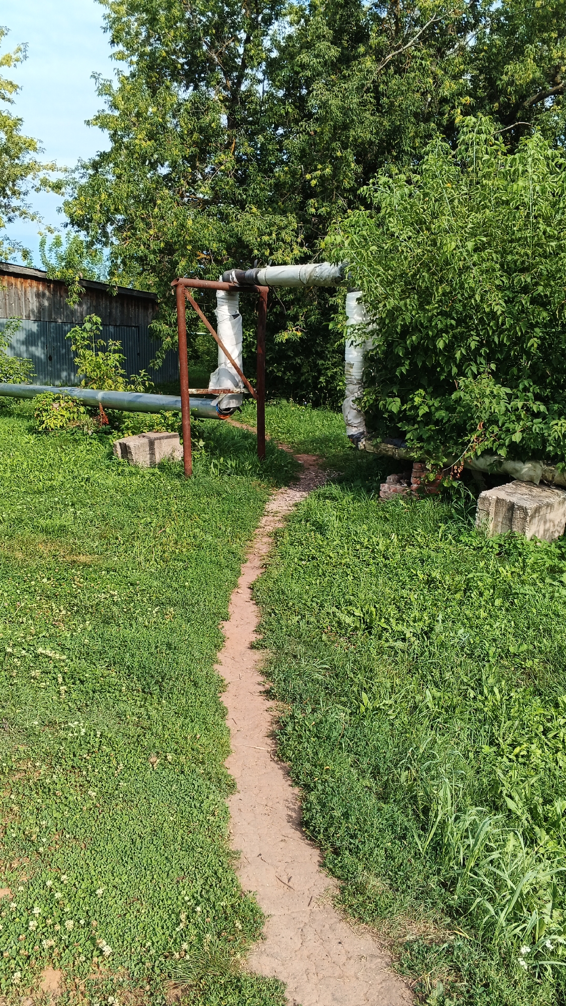 The image depicts an outdoor scene with a narrow dirt path winding through lush green grass. On the left, a long, insulated pipe runs horizontally, supported by a rusted metal frame. Beyond the pipe, a corrugated metal building with wooden trim is visible. Dense green foliage from trees and bushes fills the background, partially obscuring the sky, which appears bright and clear. Several concrete blocks are placed in the grass near the pipe and frame. The overall environment suggests a semi-rural or industrial area, possibly on the outskirts of a settlement like Podgornoye, Russia, given the presence of infrastructure and overgrown vegetation. There are no people or animals visible in the image.