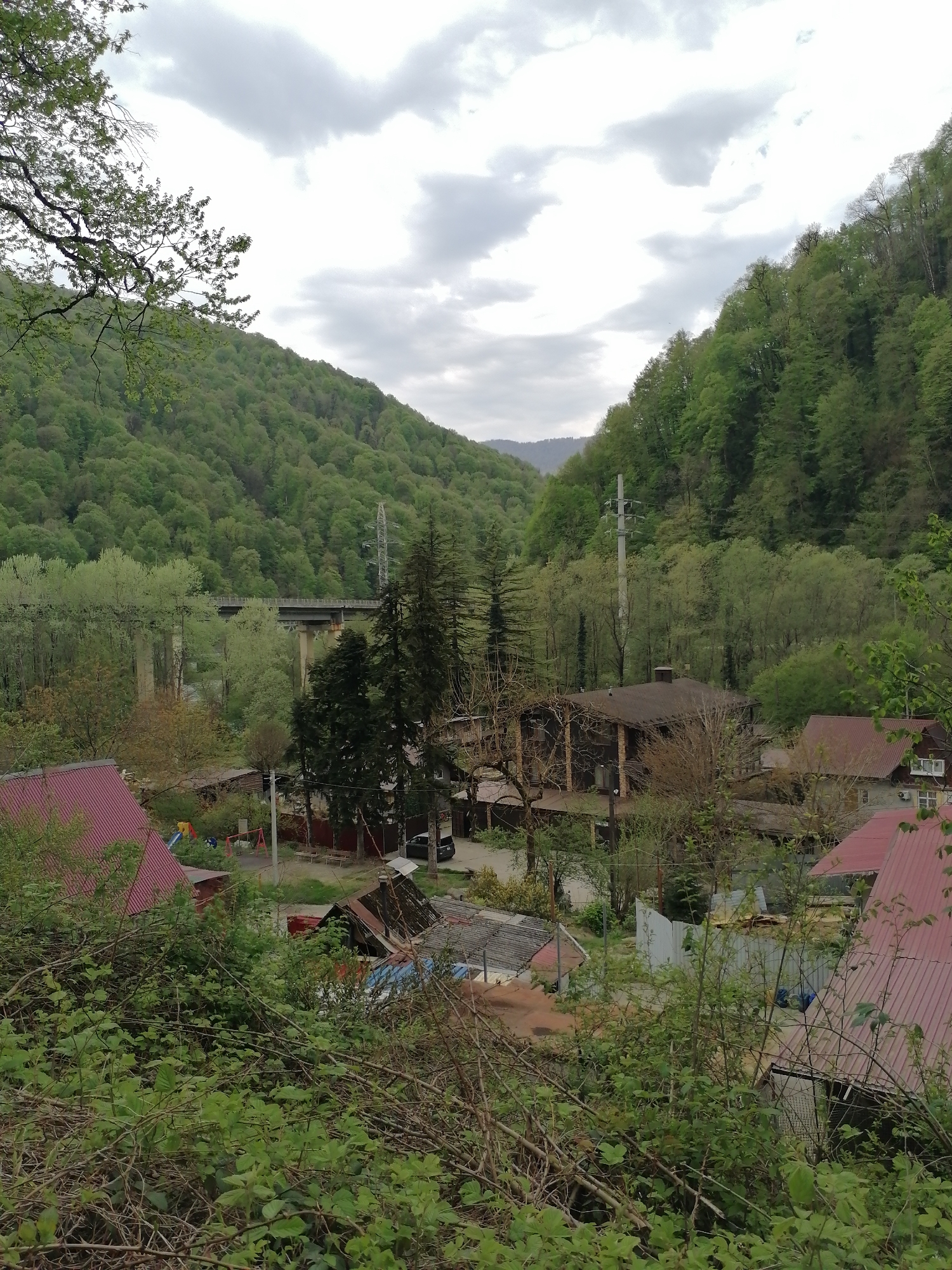 The image captures a view of the village of Chvizhepse, Russia, nestled in a valley between forested hills. Overcast skies contribute to the scene's dim lighting. The village architecture features red-roofed houses interspersed with various other buildings. The valley's green slopes are densely covered with trees. Overhead power lines and a concrete bridge span the distance in the background. Vegetation in the foreground partially obscures the view of the village.