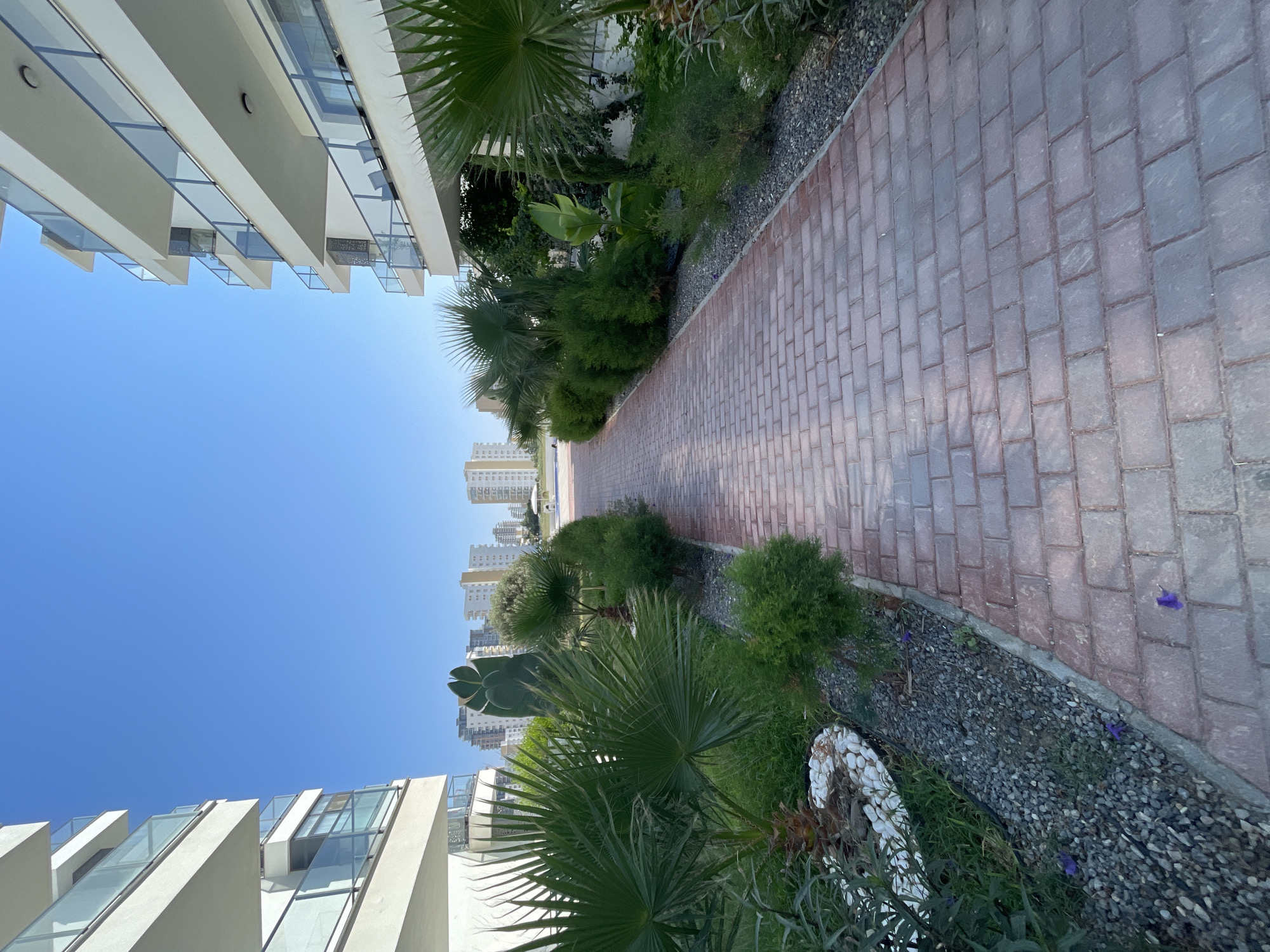 The image shows a paved pathway lined with palm trees and manicured bushes. The pathway leads towards a clear blue sky and is flanked by modern apartment buildings with glass balconies. In the background, other apartment buildings and structures are visible, suggesting an urban or resort setting. The scene is well-maintained and appears to be part of a residential complex. There are no people or animals visible in the image. The location is identified as Trikomo, Northern Cyprus / Cyprus.