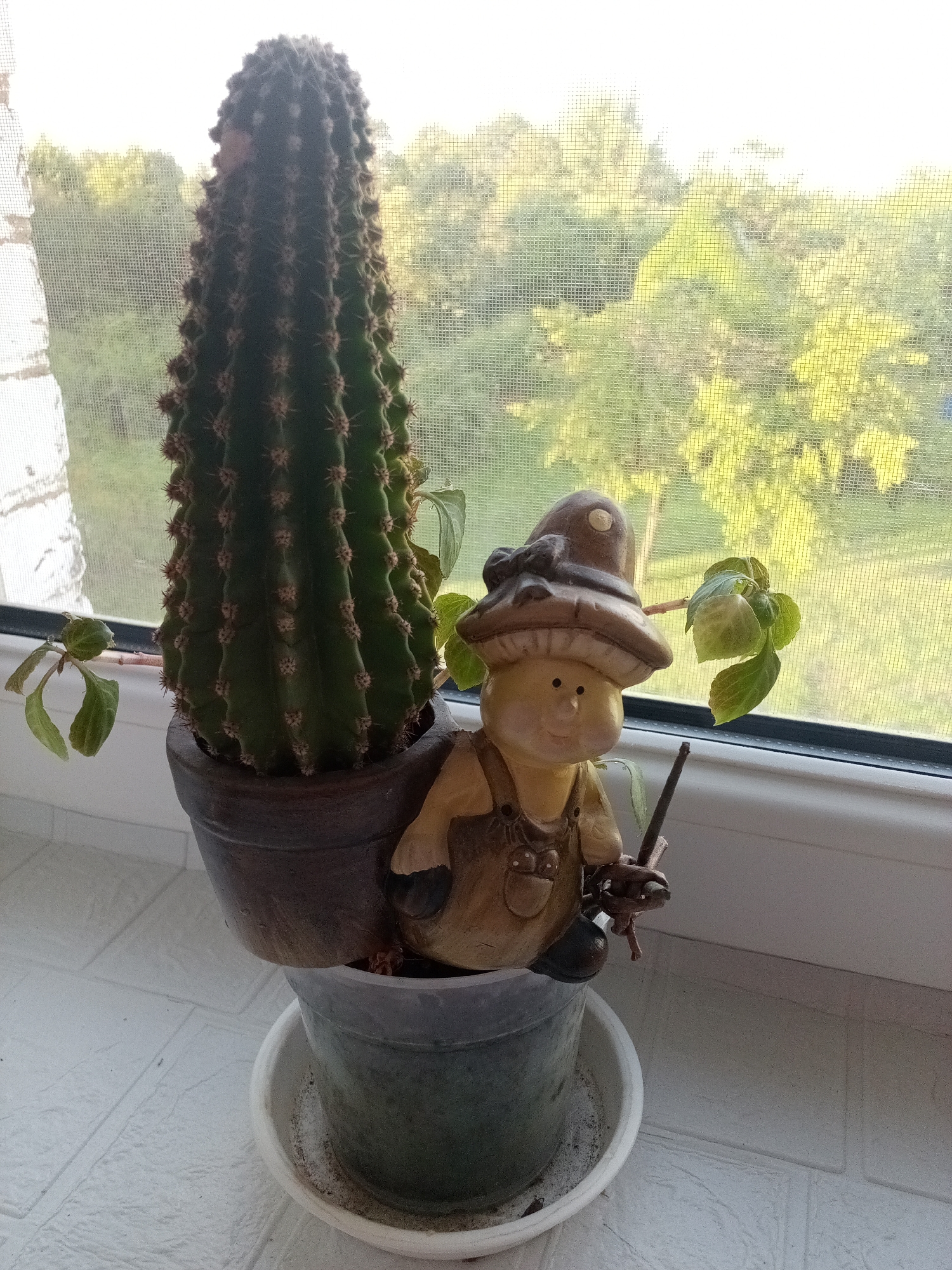 A tall, green cactus in a dark pot stands on a windowsill in Chernyshevskoye, Russia. Beside the cactus, a small ceramic figurine of a gnome in overalls and a mushroom hat sits in a blue-green pot. The gnome appears to be holding a fishing rod. Outside the window, trees and foliage are visible through a window screen. The windowsill is white and the wall below it has a textured, brick-like pattern.