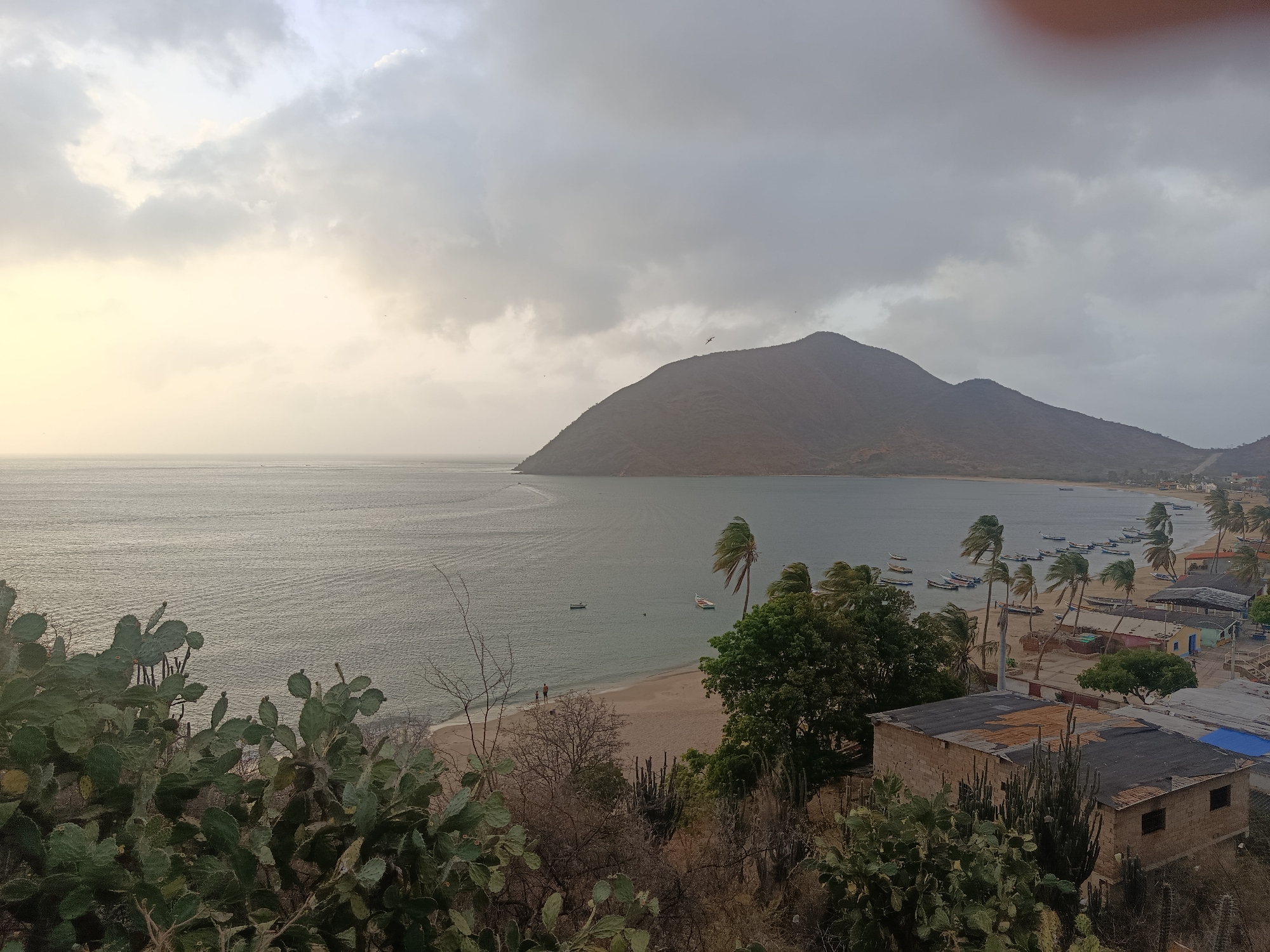This media file captures a wide view of a coastal landscape in Juan Griego, Venezuela, under an overcast sky. The scene depicts a tranquil bay bordered by a sandy beach, a small settlement, and a prominent, arid mountain in the background.
The sky is largely covered with thick, grey clouds, but a softer, yellowish light emanates from the left side, suggesting either dawn or dusk, or the sun attempting to break through the cloud cover. The calm waters of the bay reflect the subdued light, with gentle ripples visible on the surface. Numerous small boats are scattered across the bay, some anchored further out, while others are pulled onto the sandy shore.
The coastline curves around the bay, revealing a narrow strip of beach. Along the beach, several palm trees are visible, their fronds appearing to sway in the wind, indicating breezy conditions. Directly behind the beach lies a small village or community, characterized by modest, low-rise buildings with simple roofs, some appearing to be corrugated metal or tarpaulin.
In the foreground, large, green prickly pear cactus plants dominate the lower left, providing a stark contrast to the distant sea and mountain. Other sparse, dry vegetation is also present in the immediate vicinity. On the beach, near the water's edge, two small figures can be discerned, suggesting people are present, possibly walking or enjoying the quiet atmosphere. A few birds are visible as small specks in the sky.
The overall impression is that of a quiet, somewhat remote coastal community, likely relying on fishing, nestled between a distinctive mountain and the sea, characterized by arid vegetation and a subdued, yet scenic, natural environment.