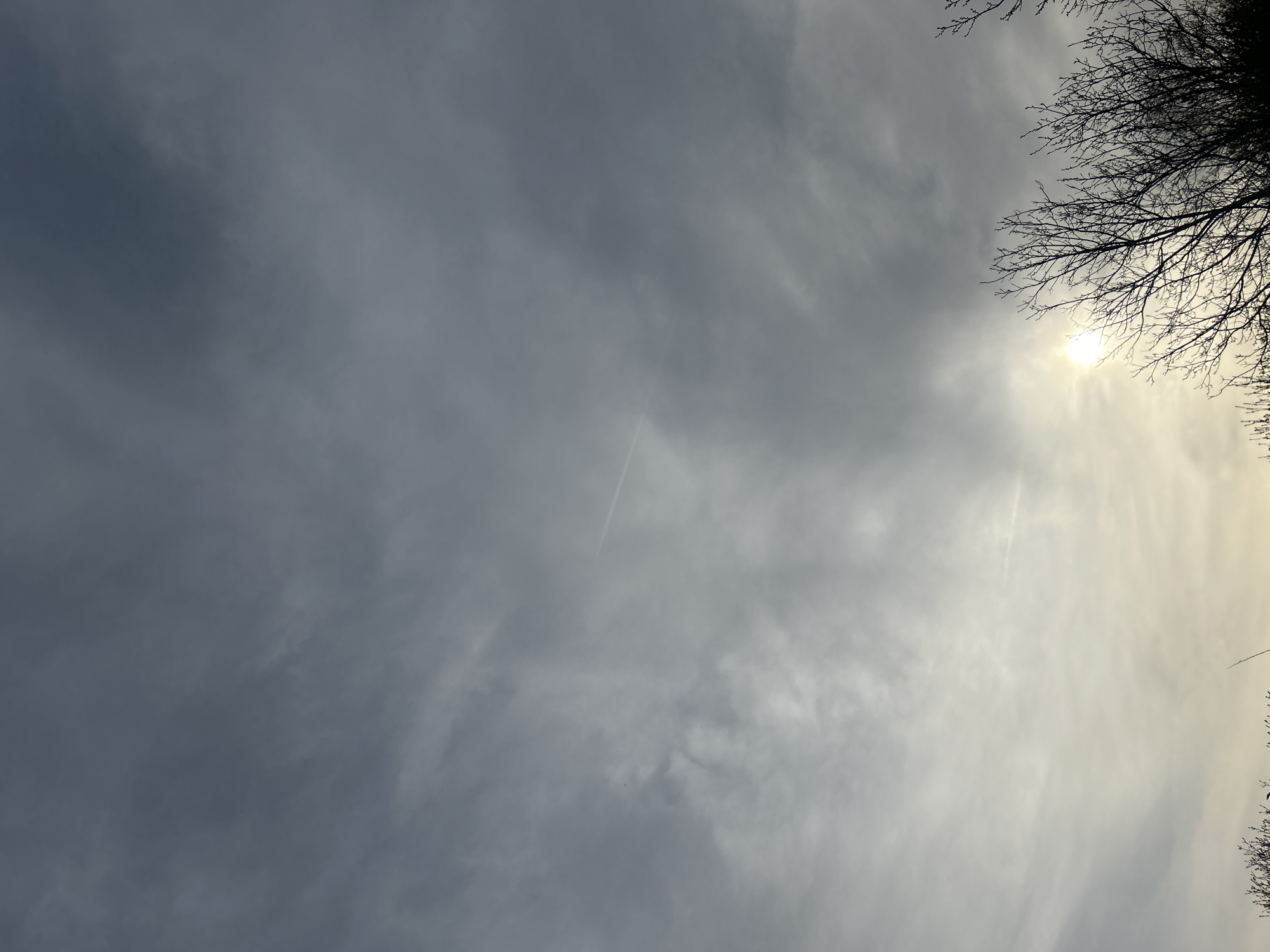 The image shows a sky view, seemingly taken from the city of Unknown, Unknown. Predominantly cloudy, with varying shades of grey, the sky shows a break in the cloud cover where the sun is weakly visible. Branches of a bare tree silhouette the upper right corner. The composition implies the photograph was taken looking upwards at a slight angle. There's no sign of human presence or activity.