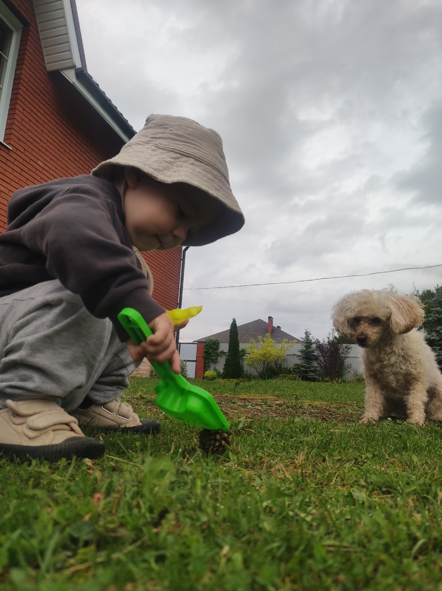 An outdoor, low-angle photograph captures a young child and a dog in a grassy yard in Фоки, Russia, under an overcast sky. In the foreground, a child wearing a beige bucket hat, a dark hoodie, and grey sweatpants is crouched down, playing. They are holding a bright green plastic spade and a yellow plastic toy, seemingly interacting with a pinecone or similar object on the grass. Their face is partially visible, showing a focused expression, and they wear light-colored shoes with dark soles.
To the right, a small, light-colored, curly-haired dog, resembling a poodle, sits calmly on the grass, observing the child. Its fur appears slightly dishevelled.
The background features a red brick house with a white window and white gutters on the left. Further back, on the right, another house with a dark roof is visible behind a fence, surrounded by various trees and bushes, including several conifers. The sky is uniformly cloudy and grey, indicating an overcast day. The scene depicts a quiet, playful moment in a residential or suburban setting. There is no visible text in the image.