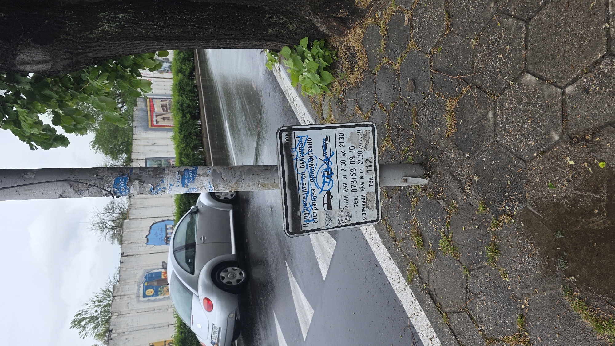 The image, captured in Blagoevgrad, Bulgaria, presents a street scene on an overcast and wet day, indicative of recent rainfall. The perspective is rotated ninety degrees clockwise.
In the foreground, on the left, stands a gray metal street light pole heavily covered with torn paper advertisements, fragments of which show text like "СЕГА", "146000", and "ЗЕМИ СЕГА!". To its right, a white rectangular sign is affixed to a smaller post. The sign, written in Bulgarian, displays parking regulations and warnings. It states: "Нарушителите се блокират, отстраняват принудително" (Violators are blocked, removed forcibly/towed). It provides specific times and contact numbers: "работНИ дни от 7.30 до 21.30" (working days from 7:30 to 21:30), with a phone number "тел. 073/59 09 10", and "в почивни дни и от 21.30 до 7:30" (on holidays/weekends from 21:30 to 7:30), with the emergency number "тел. 112". A small, blue graffiti drawing obscures part of the text and a pictogram of a car on the sign.
The ground on the right features wet, dark hexagonal pavement blocks with sparse grass and debris growing in the cracks. To the left, a wet asphalt road is visible, marked by a clear white line. A silver Volkswagen Beetle car, with a Bulgarian license plate "CA2194 XP", is partially parked on the asphalt, visible behind the poles.
In the background, a concrete wall, decorated with faded blue and yellow murals or posters, runs horizontally. Green bushes or hedges line the top of this wall, and a large tree with dark bark and green foliage frames the upper left corner of the image. The sky is uniformly overcast, contributing to the muted lighting of the scene.