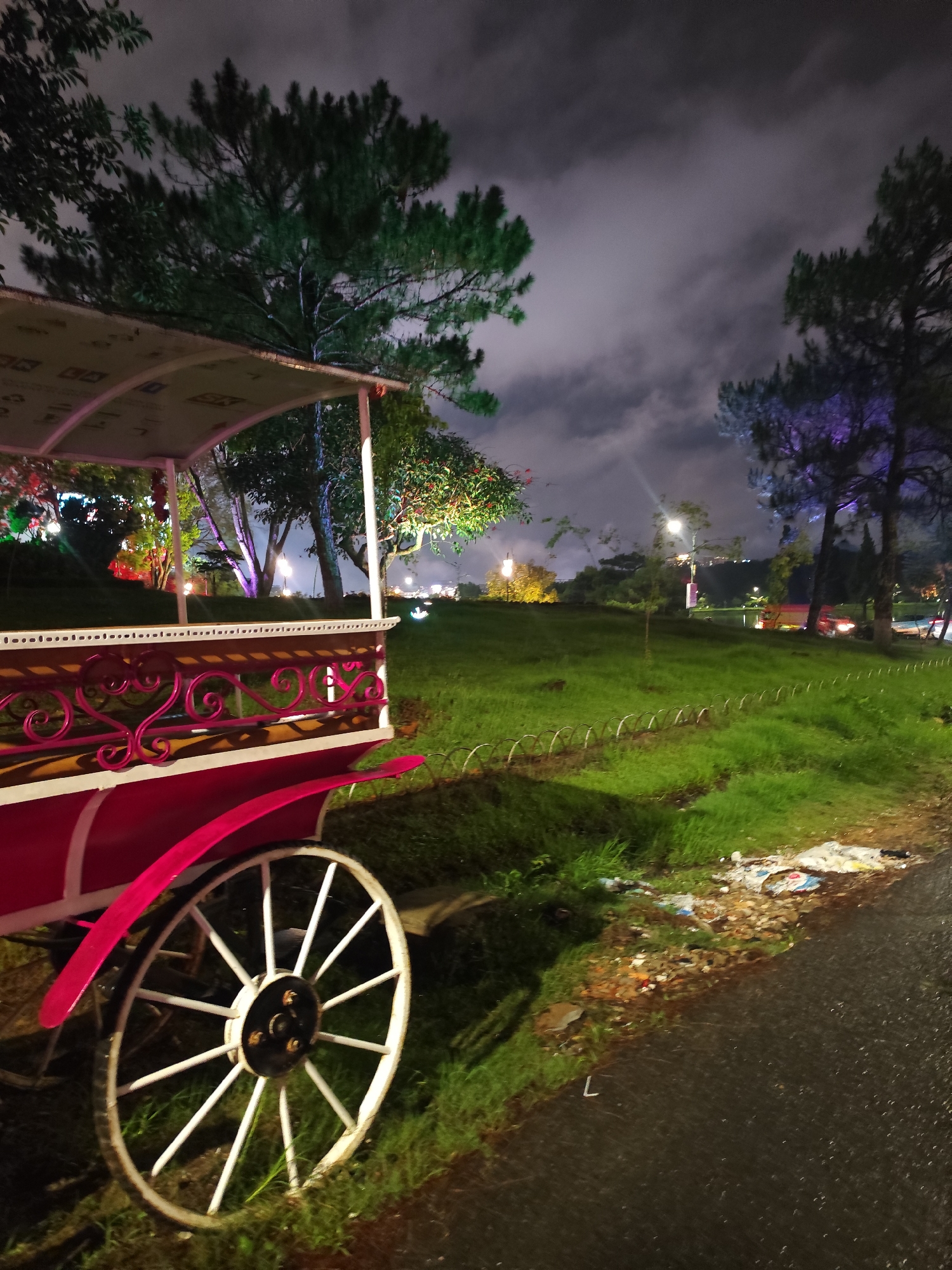 The image captures a nighttime scene in Da Lat, Vietnam. A pink and white horse-drawn carriage sits partially in view, with its wheel prominently displayed. The carriage is located beside a paved road. Beyond the carriage and a grassy area are several trees lit by colored lights. In the background, streetlights and hints of buildings suggest a city environment. The sky is cloudy. Debris is scattered between the edge of the road and the grassy area.