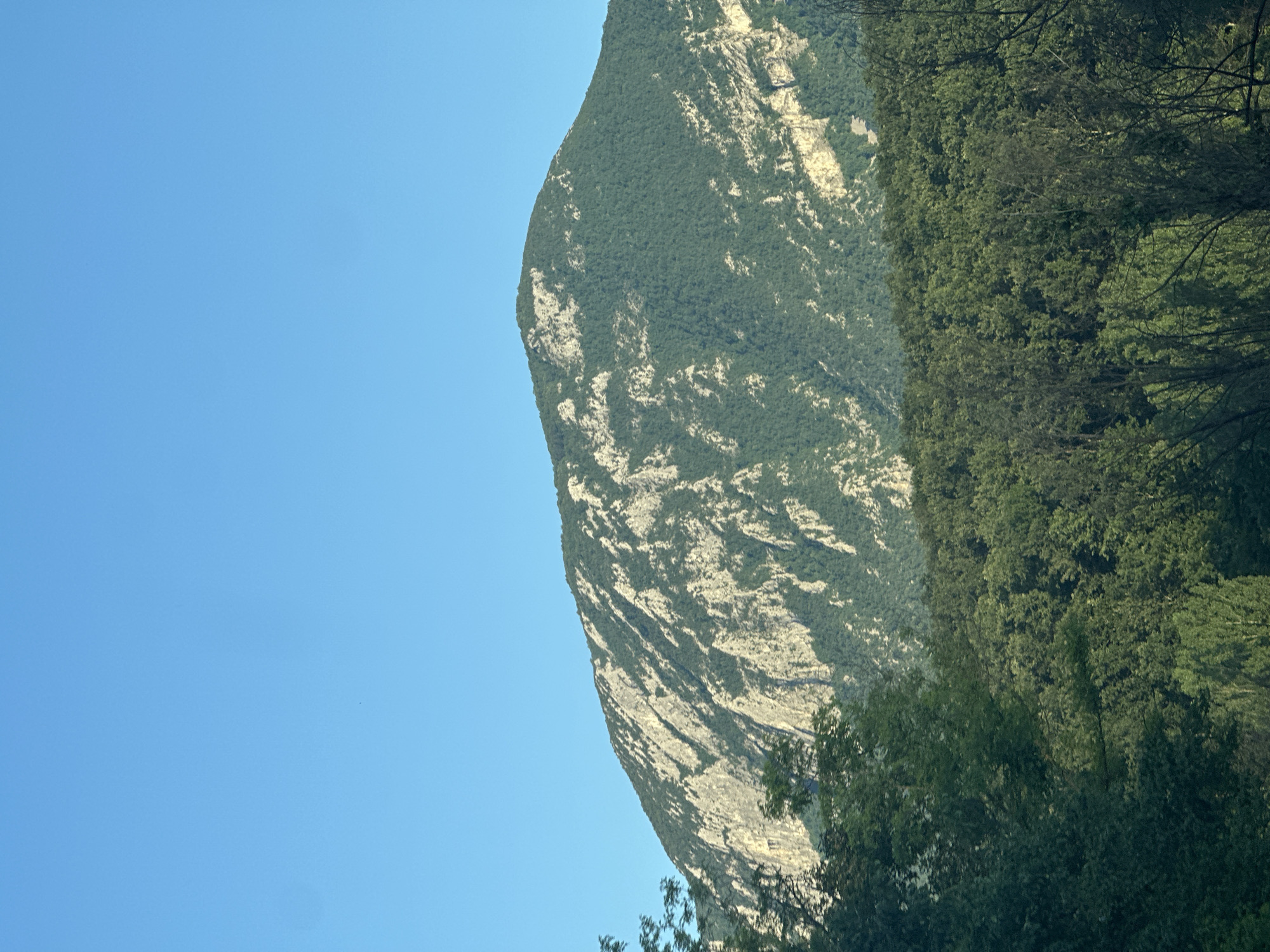 This vertically oriented image presents a natural landscape in Glavatsi, Bulgaria, under a bright, clear blue sky. The dominant subject is a large mountain or hill, which occupies the right side of the frame. Its surface is characterized by a blend of dense, dark green foliage from trees and significant sections of exposed, light-colored rock faces. The rock appears textured, with visible contours and variations.
To the left, approximately half of the image is filled with an expanse of uniform, light blue sky, indicating cloudless and sunny weather conditions. The bright illumination across the mountain suggests it is daytime, likely morning or early afternoon. In the lower right corner of the image, some branches from trees closer to the viewer are visible, partially obscuring the base of the mountain and adding depth to the foreground.
There are no visible people, animals, man-made structures, or specific activities taking place. The scene is a static depiction of a serene mountainous environment. No text is visible in the media file.