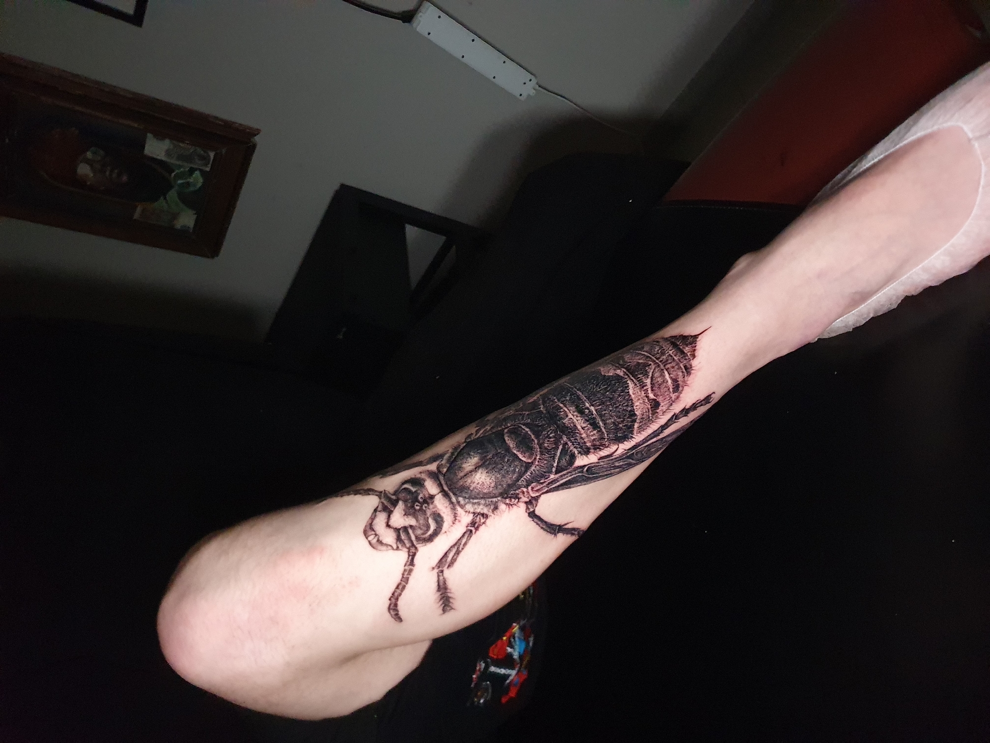 A person's arm is shown with a wasp tattoo. The arm is covered in a protective transparent wrap from the wrist up past the elbow. The tattoo is of a large wasp on the forearm. The background shows a dark surface, possibly a black couch or table, along with a framed painting on the wall and a surge protector. It is not possible to determine if the image was taken in Ulyanovsk, Russia.