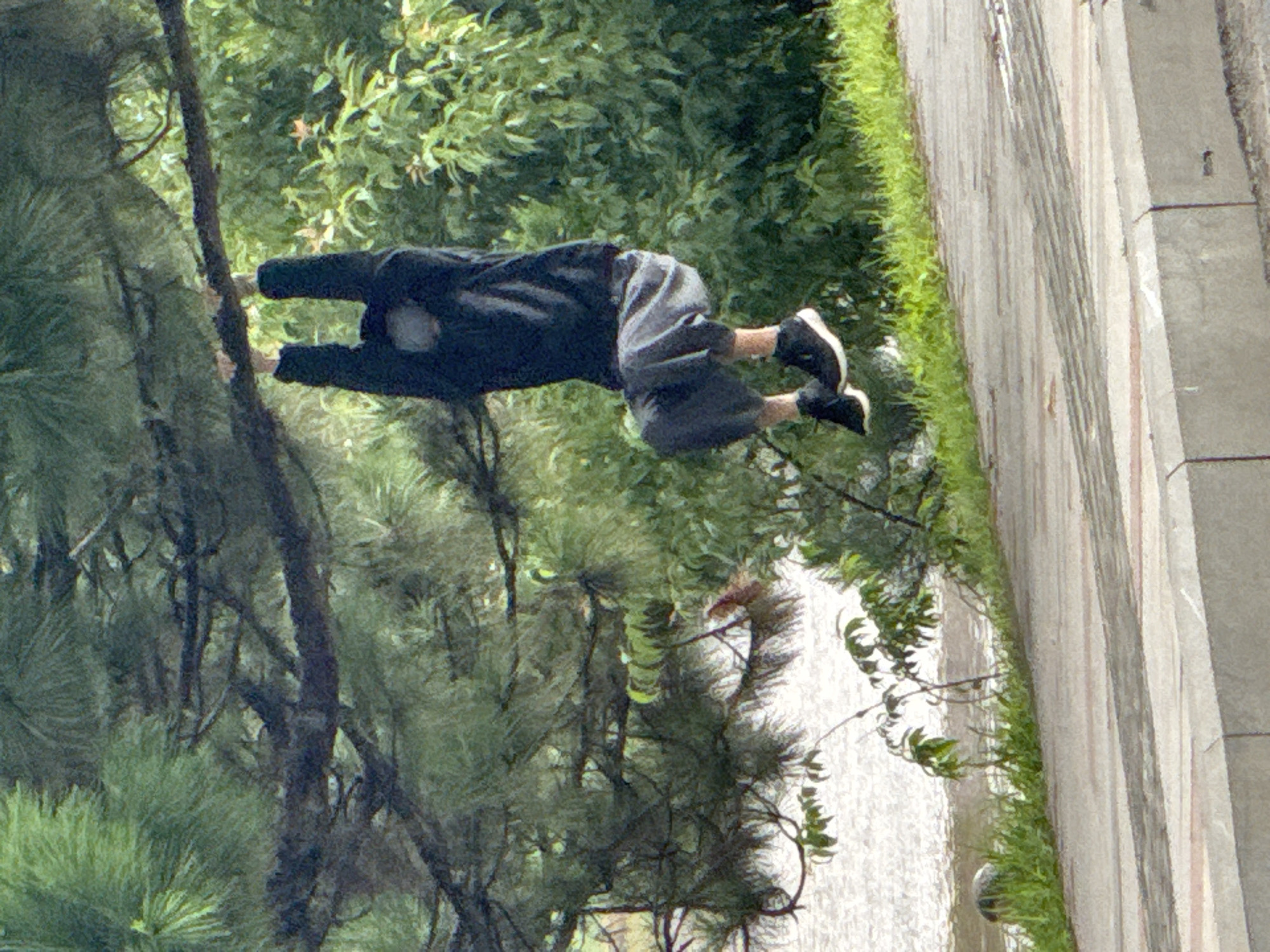 A person hangs upside down from a tree branch in Da Lat, Vietnam. The individual is wearing a dark hooded jacket and gray pants, with black sneakers on their feet. Their face is obscured by the hood, and they are holding the branch with both hands. The tree is situated above a paved walkway and a body of water, with lush green foliage surrounding the scene. The water appears to be a lake or pond, reflecting the sunlight. The walkway is made of concrete and appears to be a public path. The overall environment suggests a park or recreational area within the city of Da Lat, known for its natural beauty and cool climate.