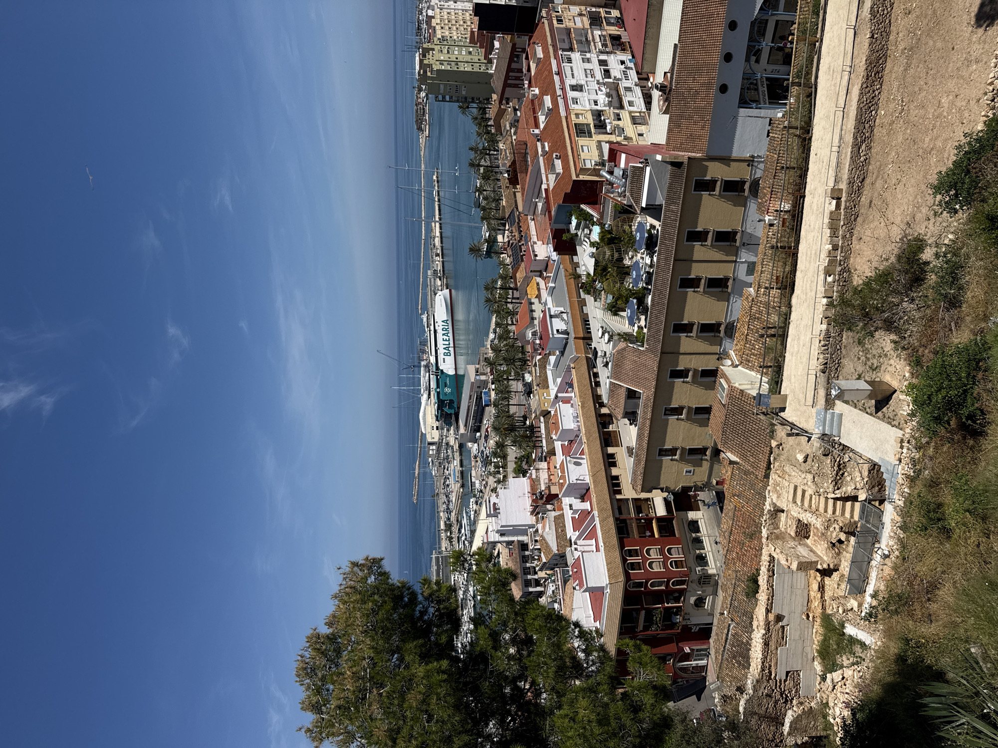 The image shows an elevated view of Dénia, Spain, overlooking the Mediterranean Sea and the port area. A large passenger ferry with the name "BALEÀRIA" is visible in the harbor. Numerous boats and yachts are docked in the marina. Buildings with red-tiled roofs and white facades characterize the urban landscape. Part of the ancient ruins and defensive walls of Dénia are visible in the foreground, running alongside some of the buildings. The foreground also features vegetation including a large evergreen tree with dark green foliage. The sky is bright blue with some wispy clouds.