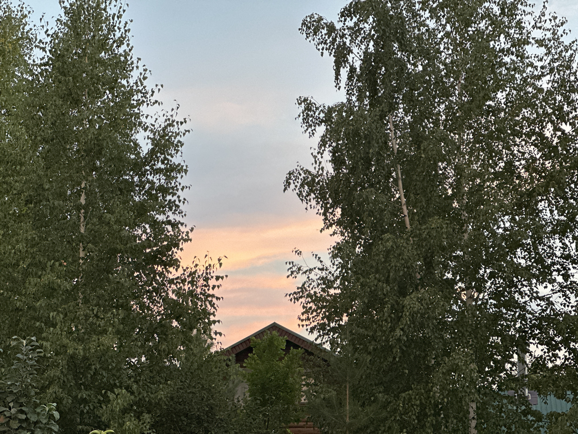 The image depicts a view of a house partially obscured by trees with green foliage, set against a twilight sky displaying soft pink and blue hues. The roof of the house is visible, featuring a dark brown, sloped design with a lighter brown trim along the edges. The sky shows streaks of color, indicative of sunset or sunrise. Several tall trees with dense leaves dominate the foreground and frame the view of the house. The overall scene suggests a residential setting in a semi-rural or suburban area. The location is identified as Samarsky, Russia.