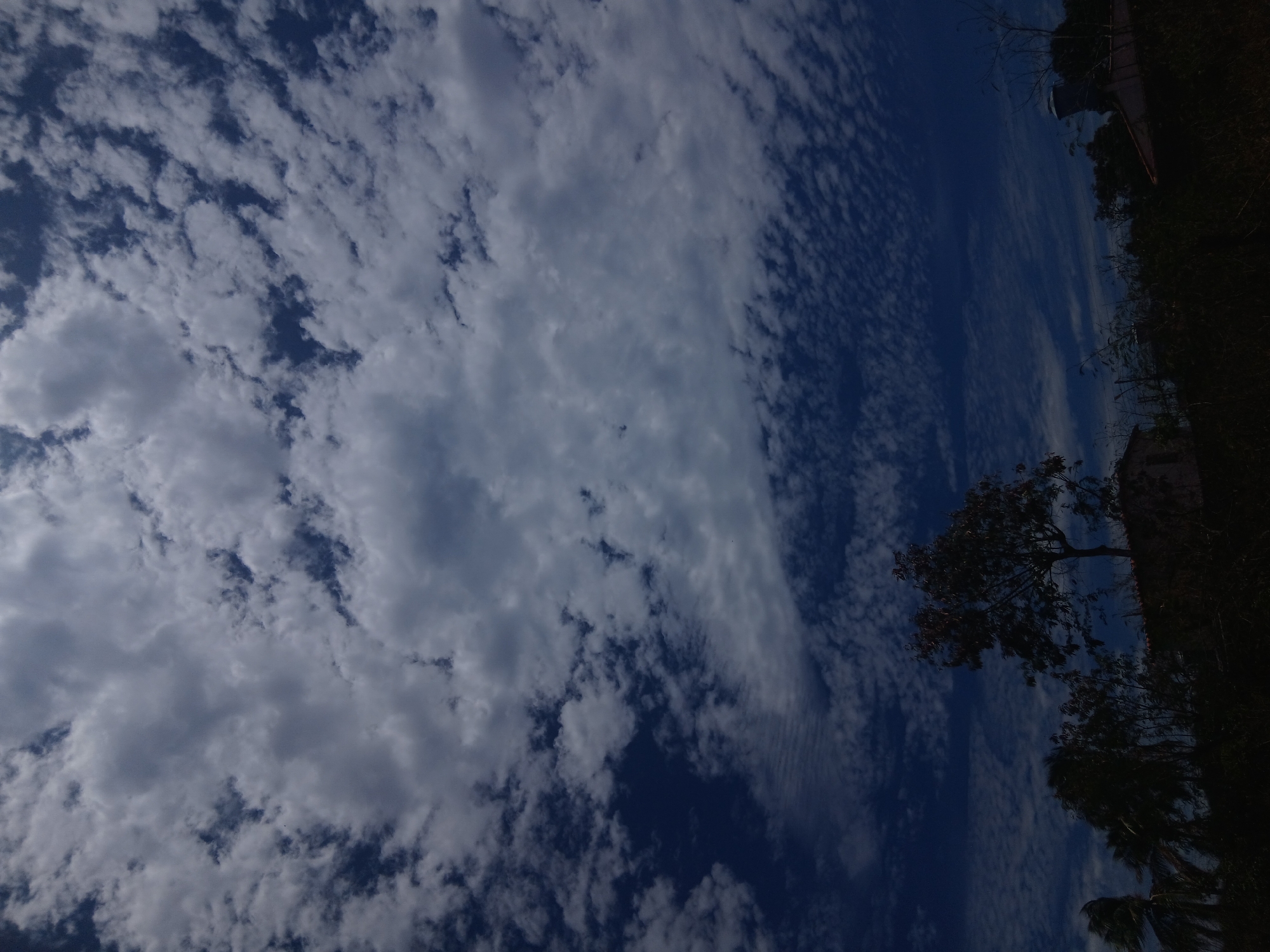 The image depicts a sky filled with a mix of altocumulus and cirrocumulus clouds over Juan Griego, Venezuela. The sky is a deep blue, visible between the patches of clouds. In the bottom right of the frame, there is a darkened silhouette of foliage and trees. A structure, potentially a building, is also partially visible within the foliage. The photograph is taken from a low angle, looking upwards towards the sky. The image appears to be slightly rotated.