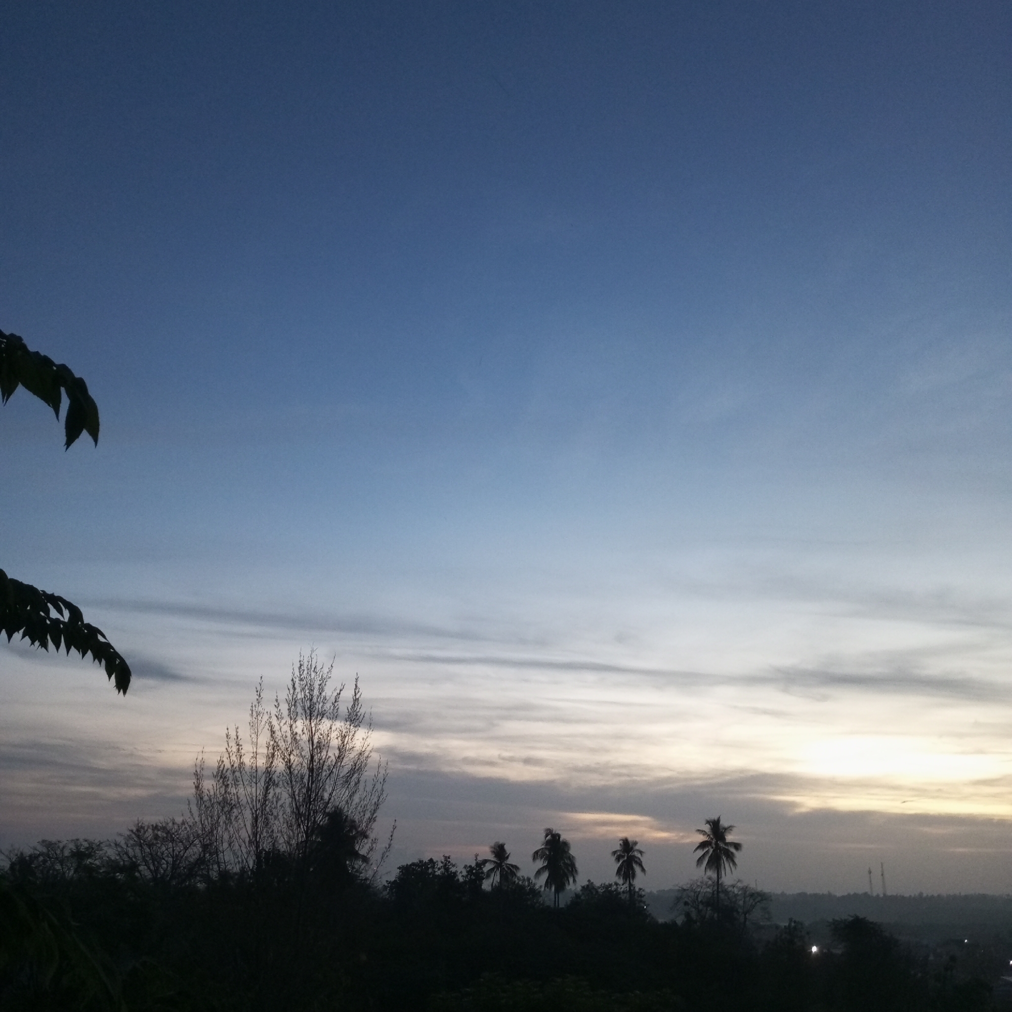 The image captures a twilight scene over a landscape in Lhokseumawe, Indonesia. The sky transitions from a deep blue at the top to lighter shades near the horizon where the sun appears to be setting or rising. Wispy clouds stretch across the sky. Silhouetted trees, including palm trees, form the foreground. A branch with leaves is visible in the upper left corner. In the distance, faint industrial structures can be discerned. The lighting suggests either early morning or late evening. The overall environment seems tranquil and somewhat hazy. No people are visible.