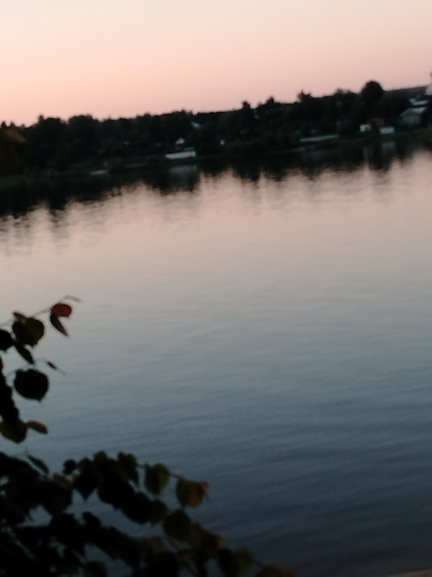 The image captures an outdoor twilight or dawn scene in Шебунино, Russia. The upper portion of the frame displays a uniform, pale pink-orange sky. A dark, blurred horizontal band of dense vegetation, identified as a distant treeline, extends across the mid-ground, separating the sky from a body of water. Within this distant vegetation, several indistinct, light-colored structures are faintly discernible, suggesting a settlement.
The central and lower portions of the image are dominated by a calm body of water, likely a lake or river, which reflects the pale sky and the distant treeline. The water's surface exhibits subtle ripples, causing the reflections to appear somewhat distorted. The reflected sky hues range from a pale pink to a muted blue-grey, transitioning towards the bottom of the frame. The reflections of the distant vegetation and structures manifest as dark, wavy shapes on the water.
In the lower left and bottom-center foreground, out-of-focus dark foliage, consisting of leaves and stems from a plant or bush, partially frames the scene. A single reddish-brown object, possibly a berry or discolored leaf, is faintly visible within this foreground foliage. No human or animal subjects are present in the image.