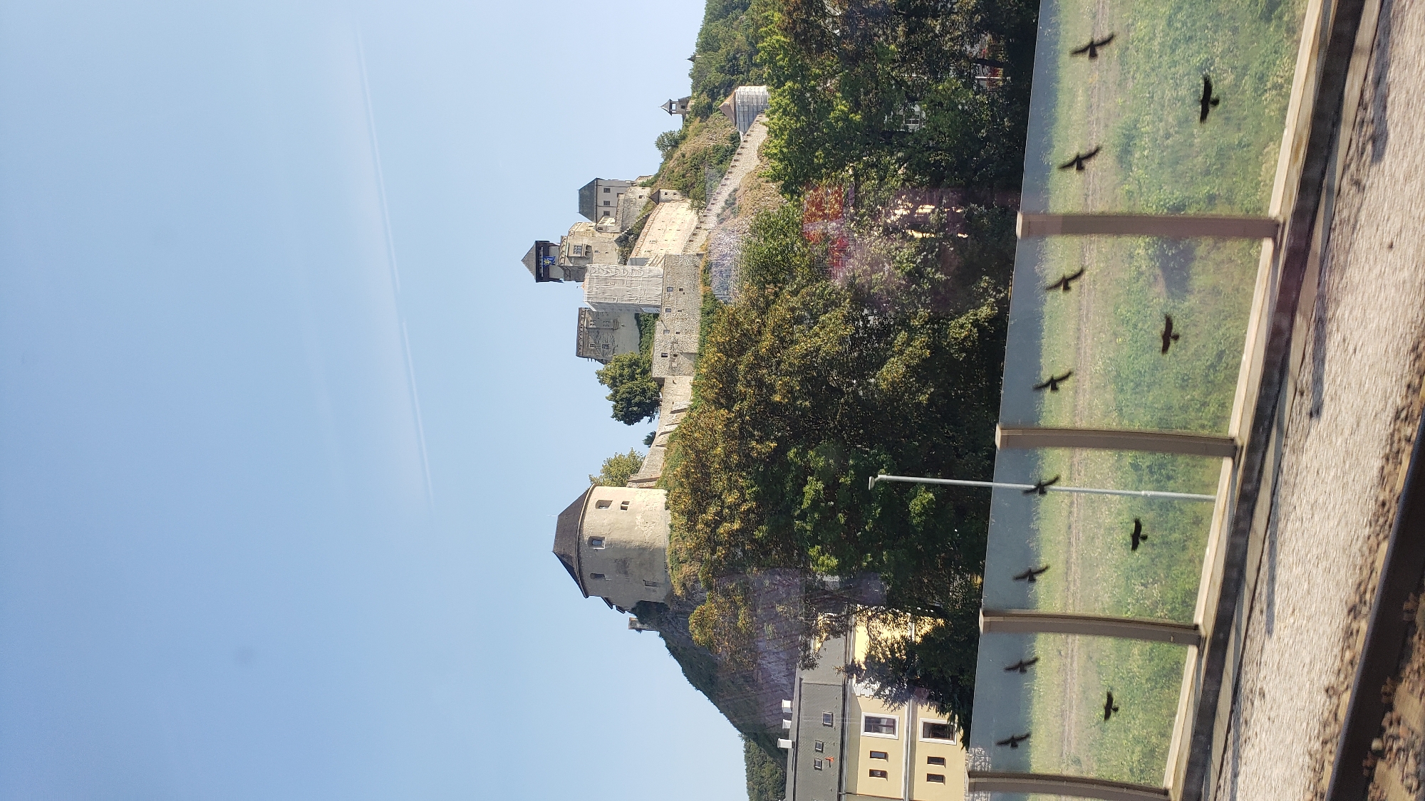 The image shows Trenčín Castle, a prominent landmark in Trenčín, Slovakia, perched atop a hill overlooking the city. The castle complex features several stone structures, including towers and walls, with some areas appearing to be under renovation, covered by scaffolding. Dense green trees surround the lower slopes of the hill and the castle grounds. In the foreground, a glass barrier with vertical posts is visible, with several silhouetted birds in flight reflected on its surface. Beyond the barrier, a grassy area with a light pole can be seen, and further in the distance, a building with yellow and gray facades and multiple windows is partially visible. The sky is clear and blue, with a faint contrail from an aircraft. The bottom of the image shows train tracks.
