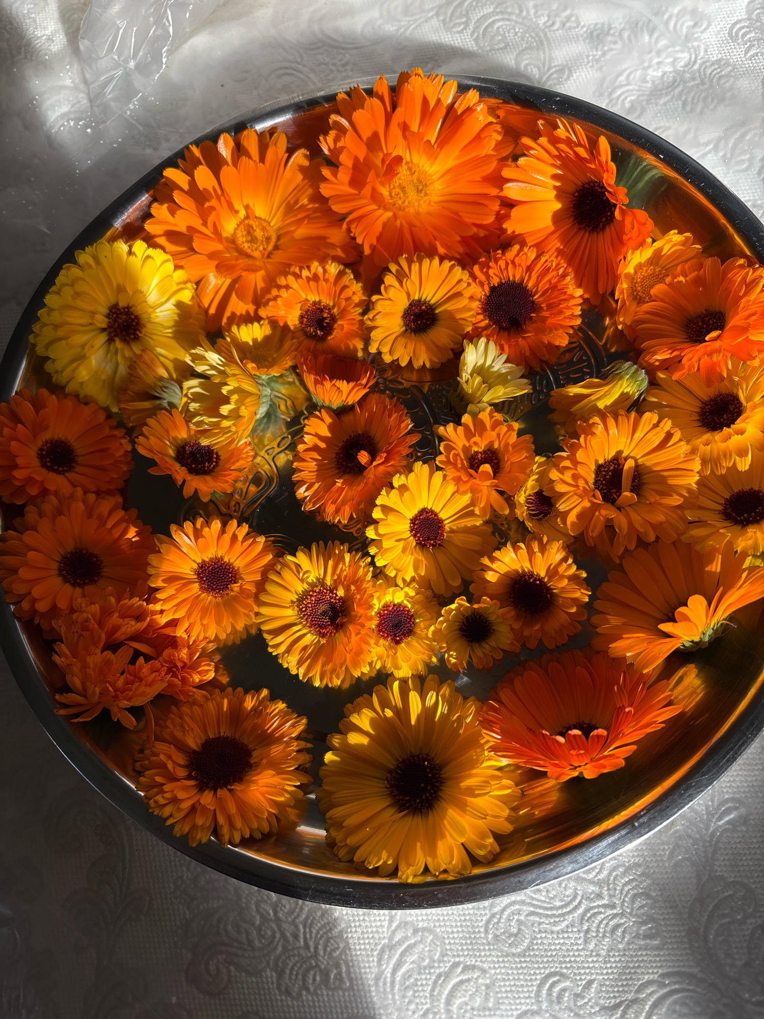 A close-up, overhead shot displays a silver, shallow bowl filled with numerous marigold flowers. The flowers are predominantly in shades of bright orange and yellow, with some appearing more golden. They are arranged loosely, with petals overlapping and some facing different directions. The surface of the bowl reflects the light, and the flowers themselves are illuminated by natural light, creating shadows that give the image depth. The bowl is placed on a textured, white surface, possibly a tablecloth, which also has patterns of light and shadow cast upon it. There are no people or animals visible in the image. The scene is static, with the flowers simply presented in the bowl. The overall impression is one of natural beauty and vibrant color. This scene is located in the city of Murakino, Russia.