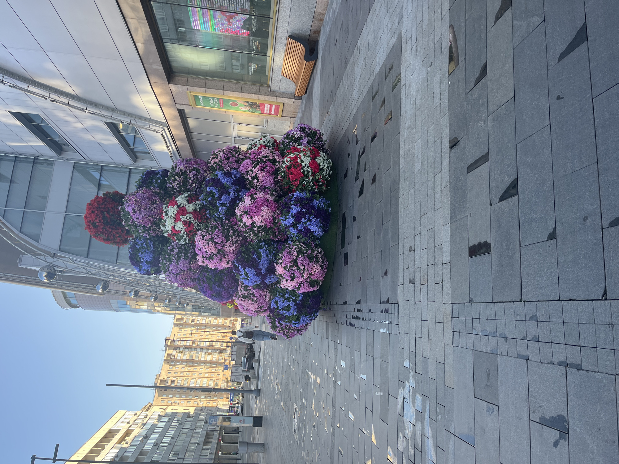 The image captures an outdoor scene in Moscow, Russia, dominated by a large, conical floral arrangement resembling a Christmas tree, adorned with vibrant clusters of red, pink, purple, and blue flowers. The arrangement sits on a green base and is positioned on a grey, tiled pedestrian walkway.
To the left of the floral display, a person with a backpack walks away from the camera, dressed in a light-colored hoodie and blue jeans. The background features modern architecture, including a multi-story building with large windows and an arched facade, and a row of residential buildings further in the distance. Sunlight casts long shadows across the tiled pavement, indicating it is either early morning or late afternoon.
To the right of the floral arrangement, a golden wooden bench with dark grey legs is visible against the facade of a building. A vertical sign with Cyrillic lettering and an image is mounted on this building. The ground surface is paved with large, rectangular grey tiles, some of which appear wet, reflecting the sky and surrounding structures. In the distance, vehicles and lampposts are also present, suggesting an urban environment.