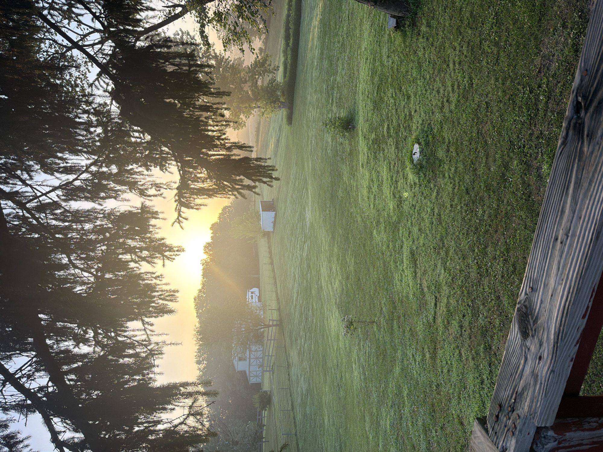 The image shows a rural landscape at sunrise, likely in or near Holt, United States. The foreground features a weathered wooden railing, possibly from a porch or deck, with some debris on it. Beyond the railing, a dew-covered green lawn slopes gently towards a treeline. In the mid-ground, there are several structures: a white barn with a cross-shaped design on its doors, a smaller white shed, and a recreational vehicle parked near the barn. A fence surrounds a portion of the property. The sunrise casts a warm glow and creates a misty atmosphere, with sunbeams piercing through the branches of a large evergreen tree in the upper left of the frame. The overall scene depicts a peaceful morning in a rural setting.