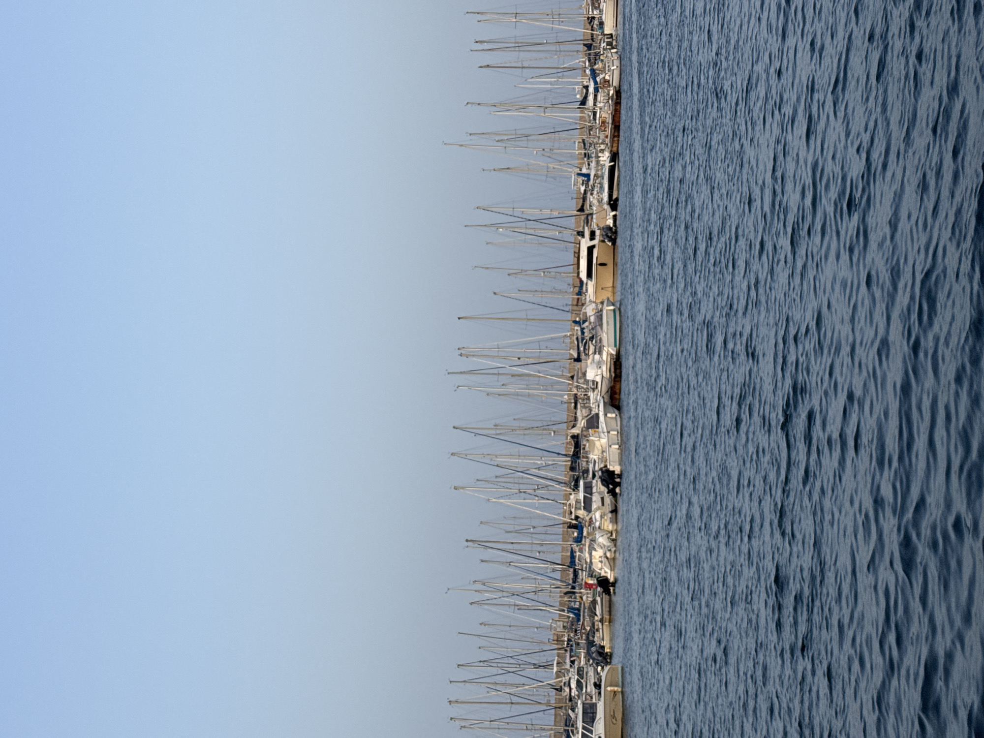 The image displays a vertical panorama of a marina, with a vast expanse of blue water on the right and a clear, pale blue sky on the left. The marina is filled with a dense congregation of sailboats, their masts creating a striking, linear pattern against the sky. The boats are moored side-by-side, suggesting a busy harbor.
The boats appear to be predominantly white with some variations in hull color. Their sails are furled, indicating they are docked rather than actively sailing. The water exhibits a textured surface with ripples and small waves, suggesting a calm but not perfectly still day.
The composition is dominated by the stark contrast between the calm sky, the textured water, and the orderly arrangement of boat masts. The lighting suggests it is daytime, possibly late morning or early afternoon, given the clear sky and the way light reflects off the water and boat structures. No people are clearly visible in the image, focusing the attention solely on the boats and the natural elements of the sea and sky.
The context of Thiniscole/Siniscola, Italy, implies a Mediterranean setting, characterized by such coastal towns and their associated marinas. The overall scene evokes a sense of tranquility and order, typical of a well-managed marina. There is no visible text in the image.