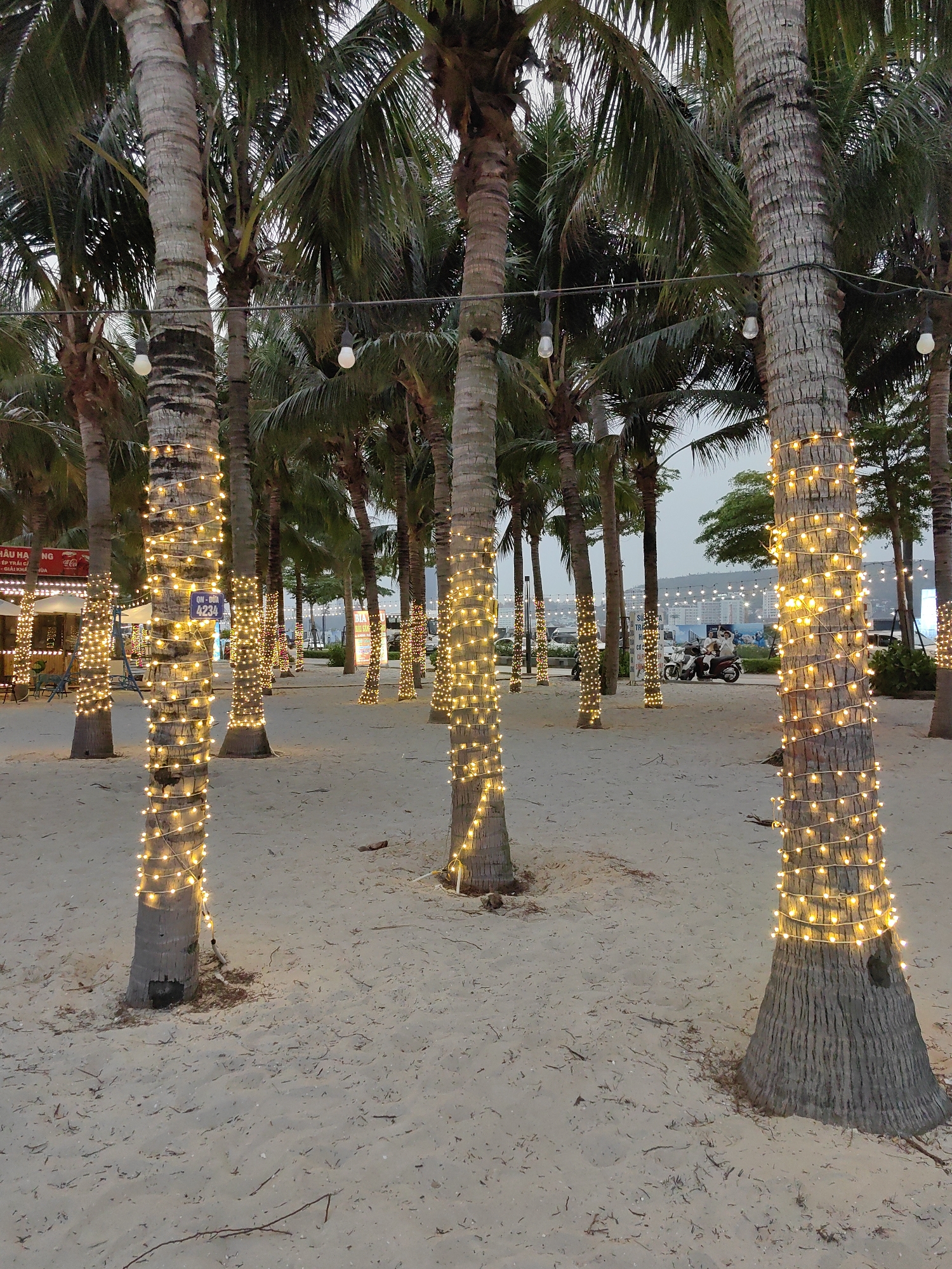 The image depicts a beach in Bai Chay Ward, Vietnam, adorned with palm trees wrapped in strings of warm-toned lights. The trees stand in a sandy expanse, with the light strings illuminating the immediate foreground. In the background, a few people are visible on a motorcycle, traversing a road or path. Further in the distance, a building and more lights can be seen, potentially indicating a developed area or entertainment venue. A food stand is also visible on the left. The overall atmosphere is festive and inviting, enhanced by the soft glow of the lights against the beach's natural setting.