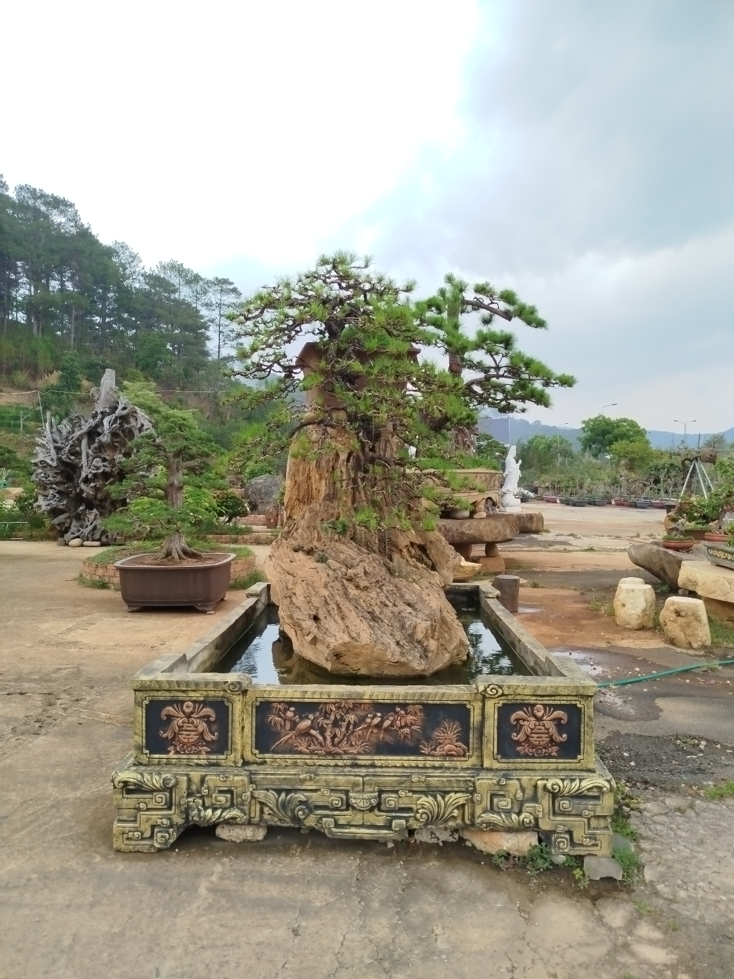 The image shows a bonsai tree planted in a decorative stone container filled with water. The container features carved panels with intricate designs. The tree grows out of a large rock placed inside the container. In the background, there are other bonsai trees and garden features. The location is Hiep Thanh, Vietnam, as indicated by the objects in the area. The environment suggests a botanical garden or bonsai nursery. The weather seems overcast.