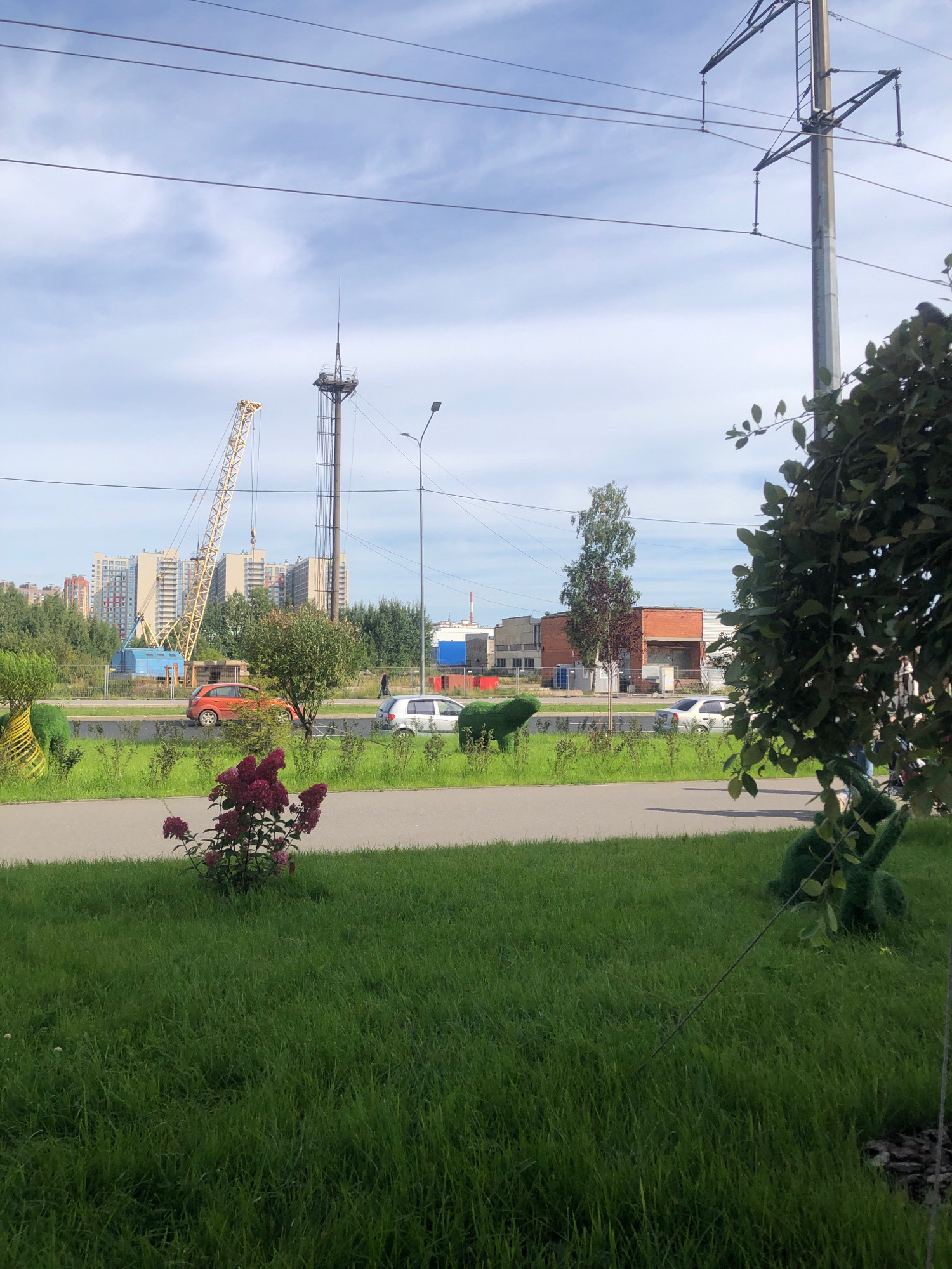 The image depicts an urban scene in Pargolovo, Russia, on a bright, partly cloudy day. In the foreground, a well-maintained lawn with a small bush bearing pink flowers is visible. To the right, a topiary sculpture, possibly representing an animal, is partially obscured by foliage. A paved pathway runs horizontally across the mid-ground. Beyond the pathway, a street with two cars, an orange sedan and a silver hatchback, is present. A pedestrian is walking on the sidewalk. Further in the background, there is a construction site with a large yellow crane. In the distance, several multi-story residential buildings stand against the sky. A tall, industrial tower and a utility pole with electrical wires are prominent features in the middle ground and background, respectively. The overall environment suggests an area undergoing development, with a blend of residential, industrial, and green spaces.