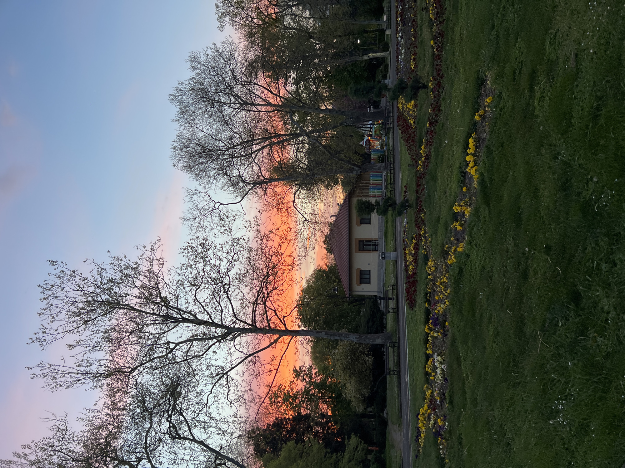 The image depicts a park scene at sunset in Burgas, Bulgaria. The sky transitions from light blue to orange and pink hues. Silhouetted trees with bare branches frame the top and left side of the image. A light yellow building with a red-tiled roof is visible among the trees. A flower bed with rows of yellow and red flowers lines a pathway. A large expanse of green grass occupies the right side of the image. A playground can be seen in the background.