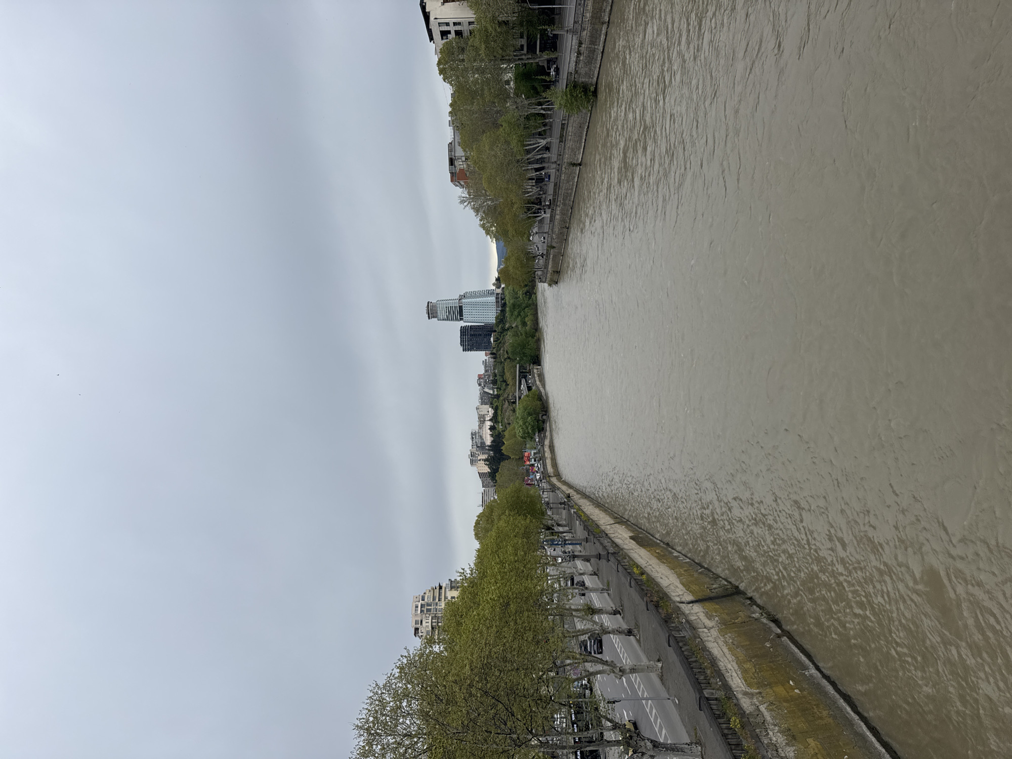 This photograph shows a muddy river in the city of Tbilisi, Georgia. The river flows from the upper right to the lower left of the frame. On either side of the river, there are roads lined with trees. The sky is overcast. Buildings are visible in the background. Cars can be seen on the road along the lower left edge of the river. The perspective is from an elevated position, possibly a bridge.