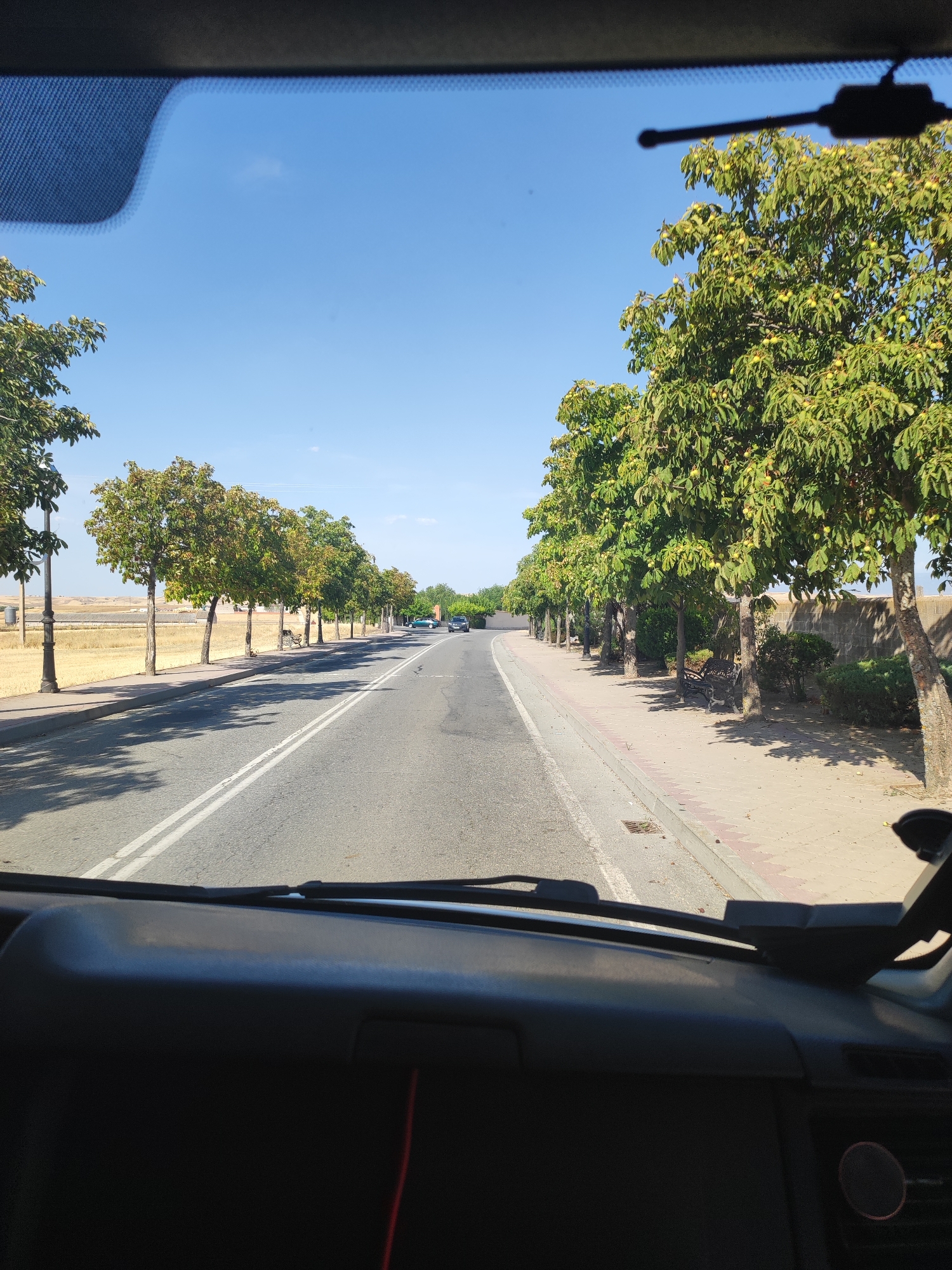 The image depicts a view from inside a vehicle, looking out through the windshield. The scene shows a tree-lined road in what appears to be a rural or suburban area. On the left side of the road, there is a sidewalk bordered by a field of dry grass and scattered trees, with a lamppost visible. On the right side, a row of mature trees with green foliage and some visible fruit or seed pods lines the sidewalk, which is paved with interlocking bricks. Beyond the trees, a stone wall and some bushes are visible. The road itself is asphalt with double white lines marking the lanes. In the distance, two vehicles are driving on the road, one black and one dark green. The sky is clear blue with a few wispy clouds. The overall impression is a sunny day, likely during late summer or early autumn, given the appearance of the trees. The location is identified as Valverde del Majano, Spain, suggesting this is a road leading into or out of the town.