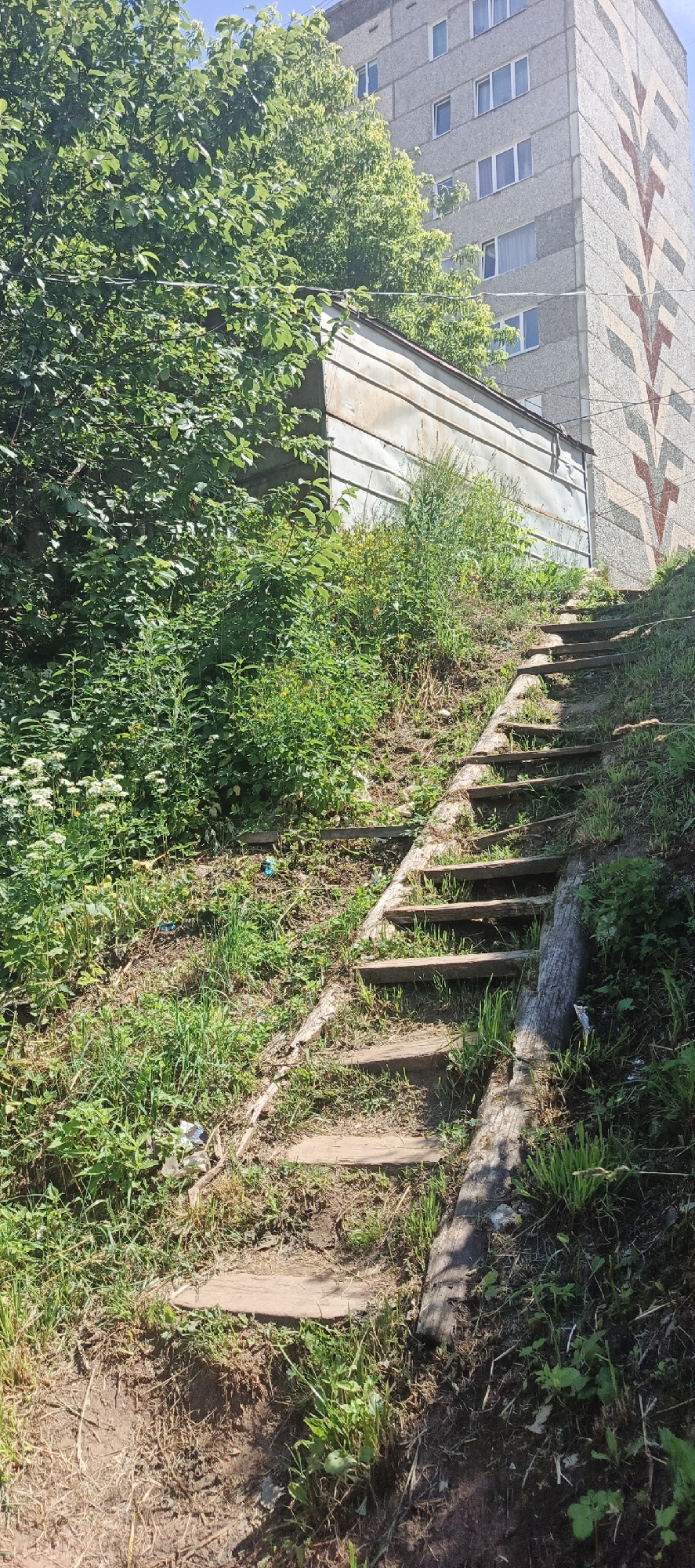 The image depicts an outdoor scene in the city of Chaikovsky, Russia, on a sunny day. A weathered wooden staircase, made of planks and supported by a log on the right side, ascends a grassy incline. The steps are irregular and appear worn. Surrounding the staircase is abundant green vegetation, including trees with dense foliage on the left and various bushes and tall grasses. In the background, a multi-story concrete apartment building with a geometric pattern on its facade is visible. A metal-clad structure, possibly a garage or shed, is situated at the top of the incline, partially obscured by trees. Several pieces of blue and white plastic debris are scattered on the ground near the lower steps and in the vegetated area. The overall impression is one of a slightly neglected urban green space.