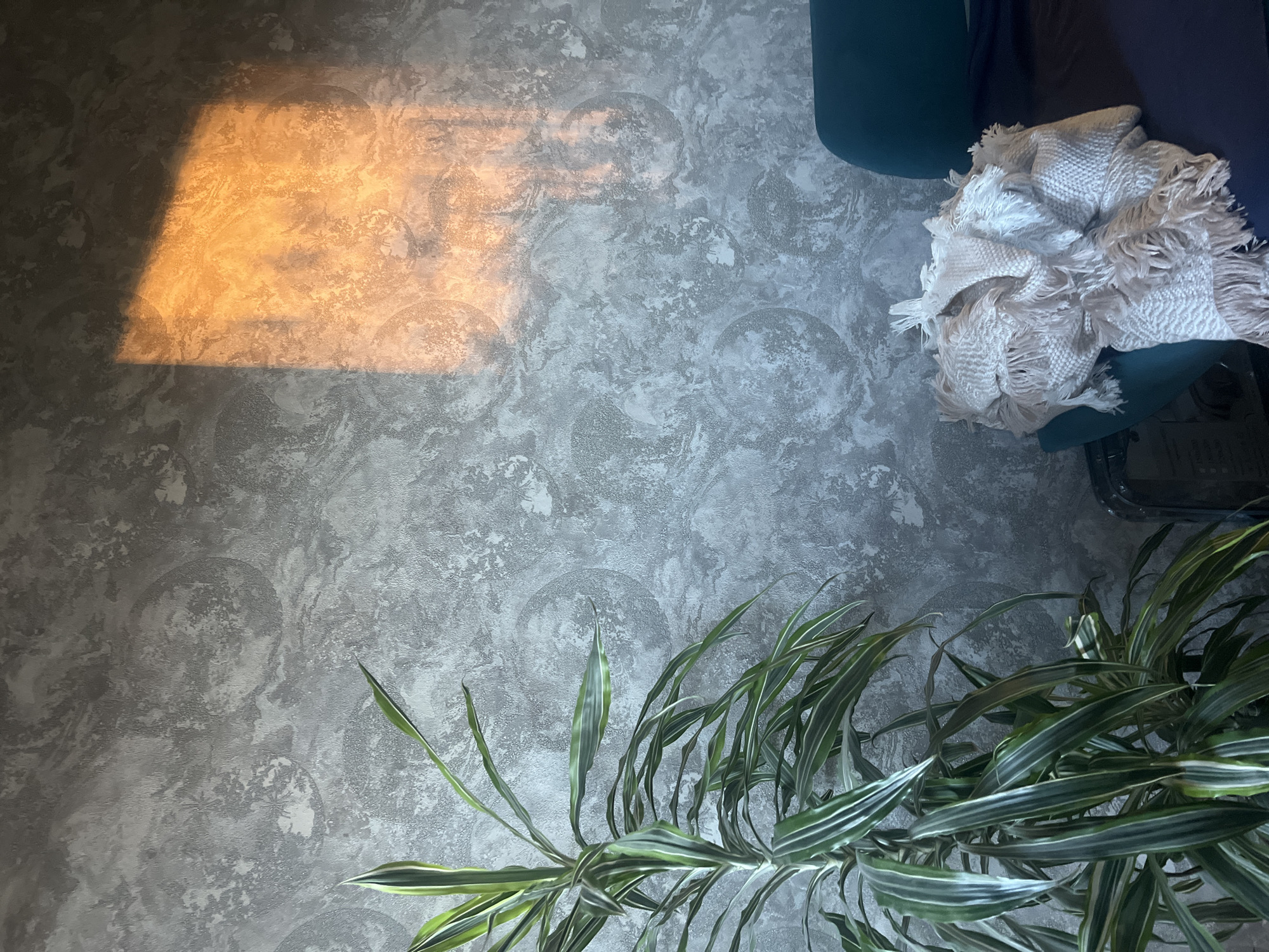 An indoor scene features a textured, grey wallpaper with a circular pattern. A strong shaft of sunlight illuminates a rectangular section of the wall with a warm, orange glow, creating a distinct shadow line. To the left, a tall green plant with striped leaves is positioned in front of the wall. In the lower right, a teal armchair is draped with a cream-colored fringed blanket, partially obscuring a dark surface beneath it. The scene does not contain any people or depict any activity. The location is unknown and cannot be determined from the visual information provided. There are no details that indicate this scene is in Sochi, Russia.