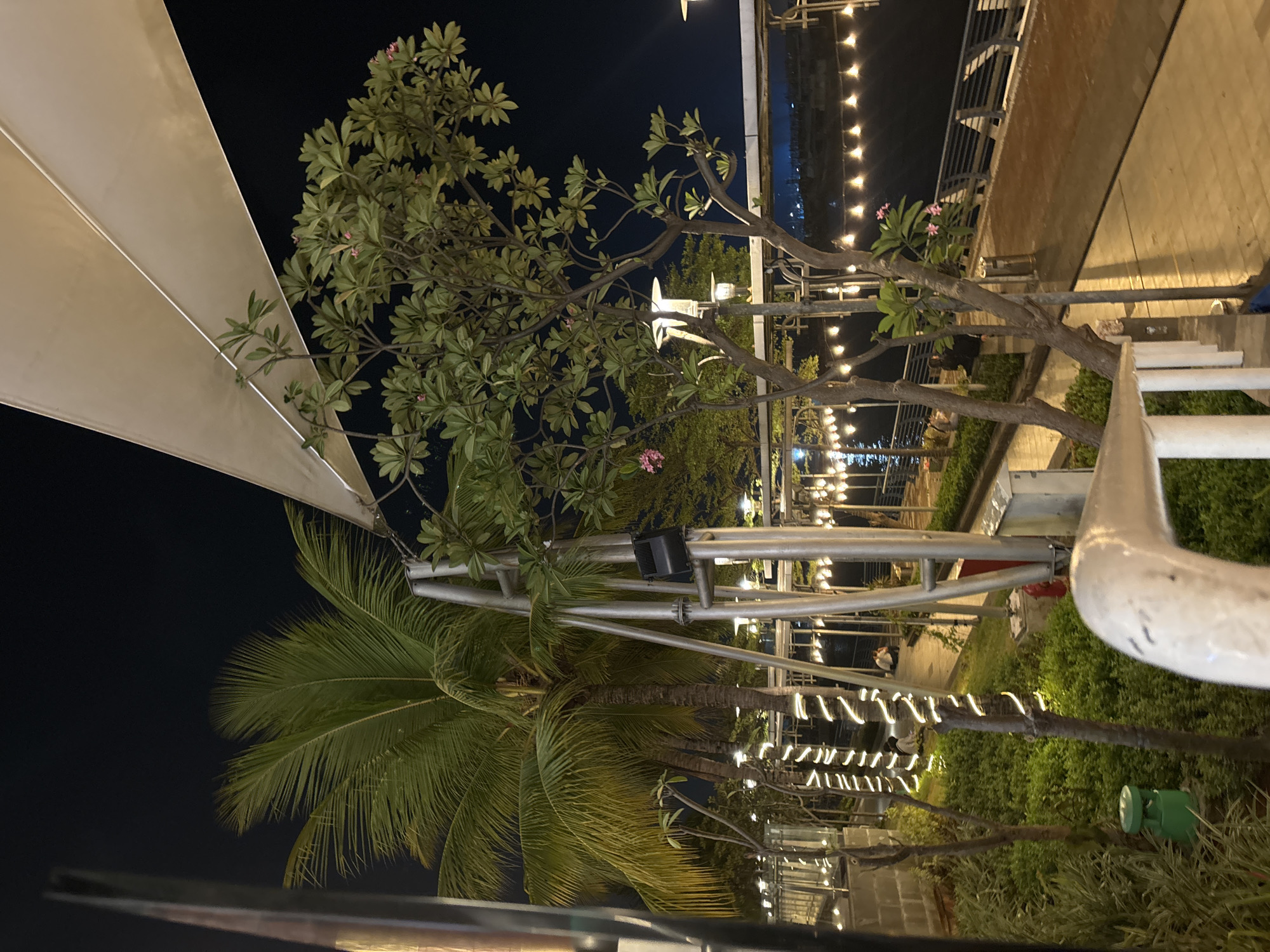 The image depicts an outdoor nighttime scene at Ancol Beach City in North Jakarta, Indonesia. A large palm tree dominates the left side of the frame, its fronds illuminated by ambient lighting. To its right, a smaller tree with pink flowers is visible, its branches reaching towards a large, cream-colored awning. The foreground features a paved walkway lined with greenery and decorative string lights wrapped around tree trunks and along a railing. In the background, a body of water is visible, with a promenade along its edge illuminated by a row of pendant lights. Several individuals are seated on benches along the promenade, appearing to be engaged in conversation or enjoying the evening. The overall atmosphere suggests a recreational area with a focus on evening ambiance and waterfront views.