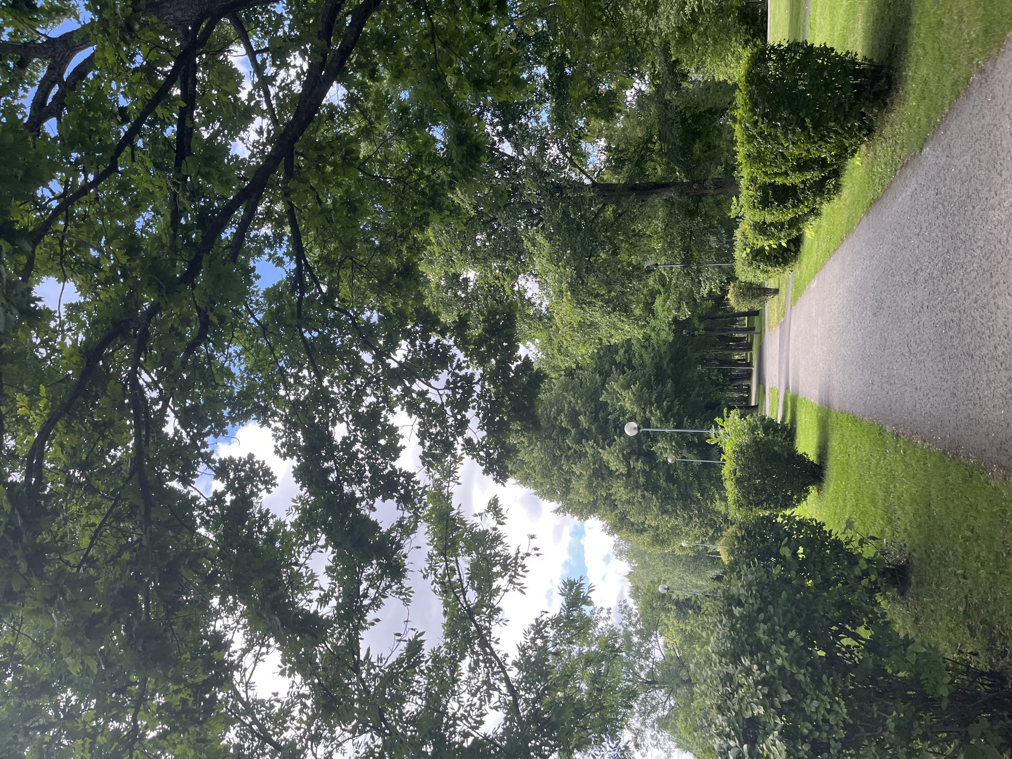 This is a photograph of a park path lined with manicured bushes and grass. Large trees with lush green foliage form a canopy overhead, with glimpses of a cloudy blue sky visible through the branches. Streetlights are spaced along the path. The scene appears to be a tranquil public space, likely in the city of Kohtla-Järve linn, Estonia. There are no people or animals visible in the image.