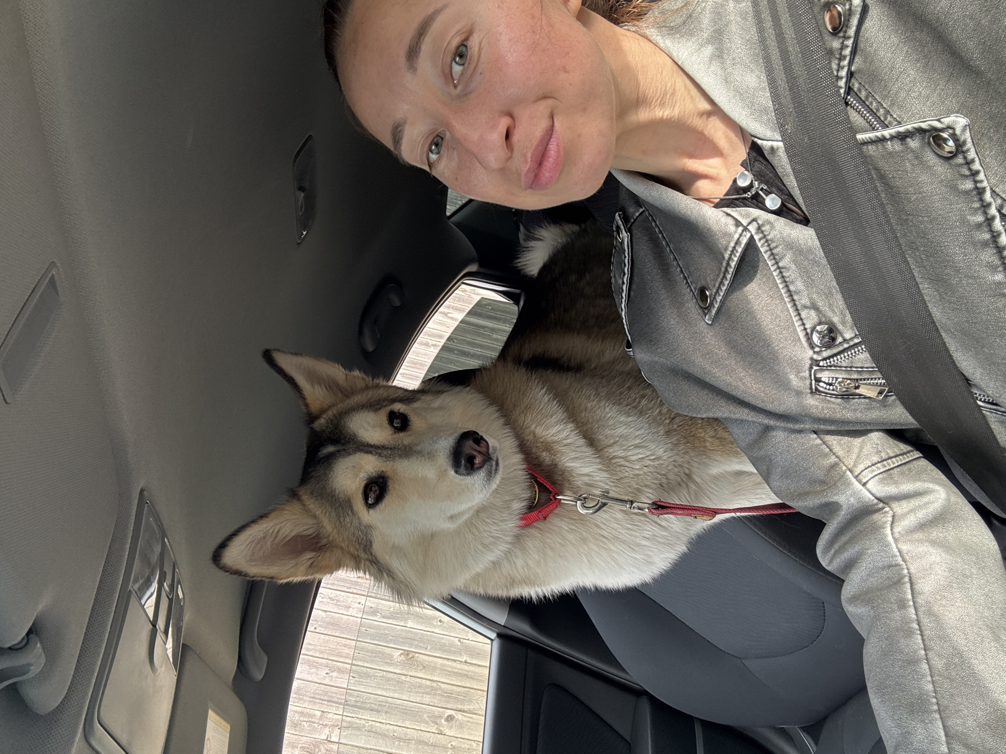 A woman is taking a selfie inside a car with a dog. The woman has fair skin, light eyes, and her hair is pulled back. She is wearing a grey jacket. The dog, a husky mix, is sitting on the passenger seat, wearing a red collar and leash. The interior of the car is grey. The location is the city of Chaikovsky, Russia.