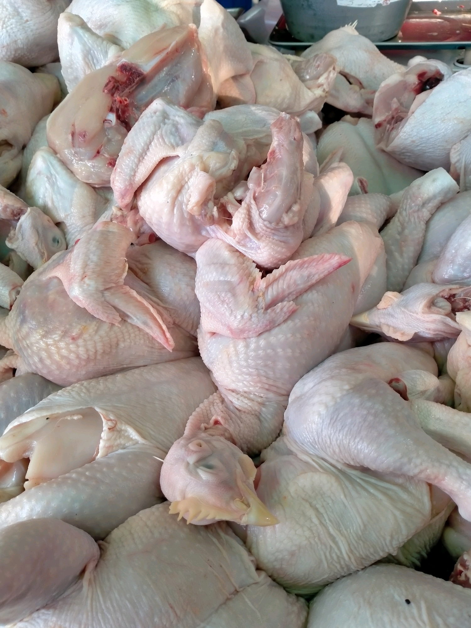 A close-up, overhead shot shows a large quantity of raw, whole chickens. The chickens are pale pink and white, with visible skin texture and some areas of exposed flesh. Some chickens are intact, while others appear to have been cut or prepared. One chicken in the foreground has its head and neck still attached, showing a beak and wattles. The chickens are piled high, filling the frame. In the background, a glimpse of a gray metal basin and a red liquid can be seen, suggesting a market or processing area. The lighting is bright and appears to be natural or from overhead fluorescent lights. The image was taken in a market in Batu, Indonesia, a city known for its agricultural produce and poultry farming.
