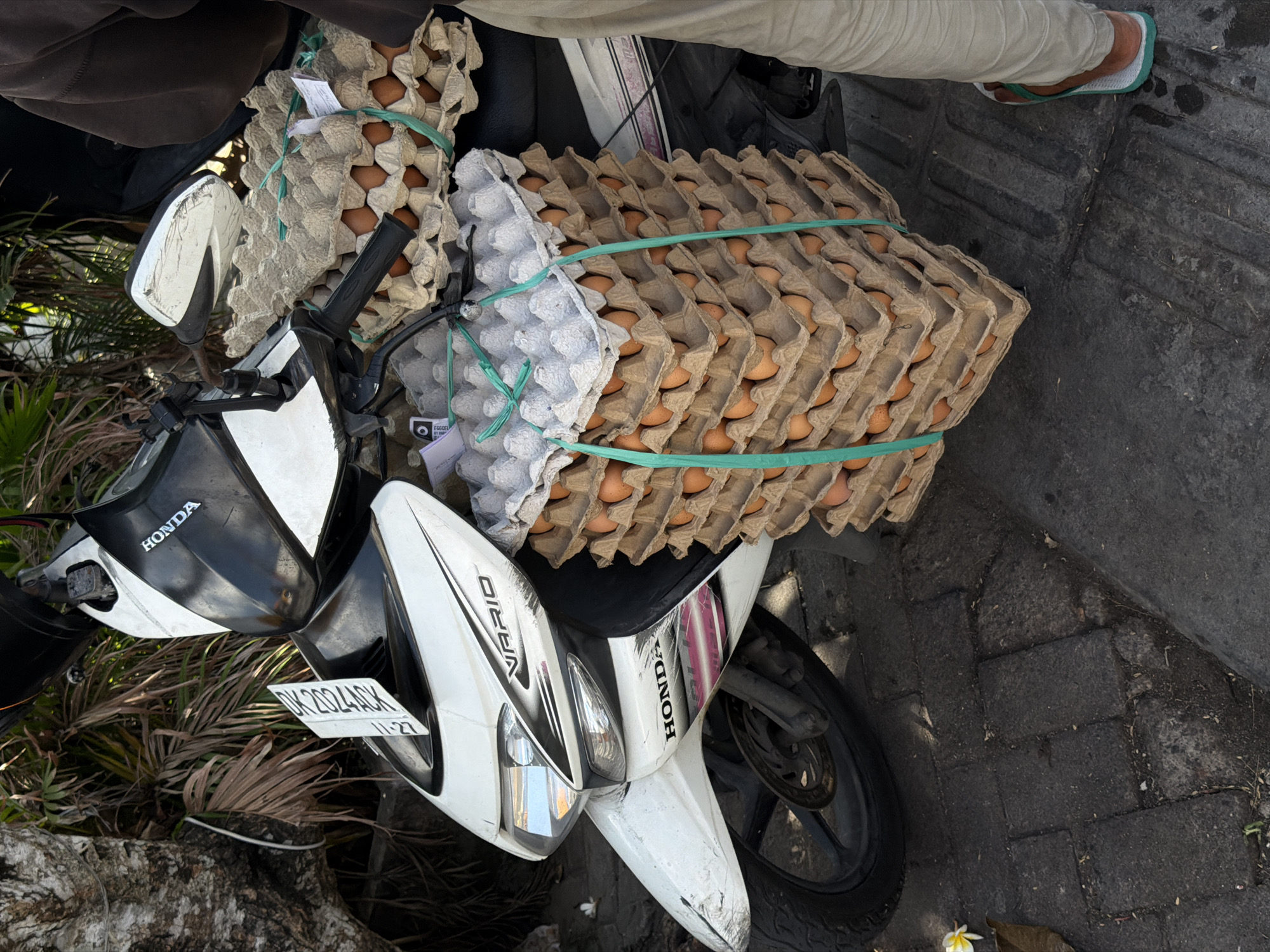 In North Kuta, Indonesia, a white Honda Vario scooter is parked on a dark paved surface. A large stack of brown egg cartons, bound with green twine, is secured to the rear of the scooter. The cartons are filled with brown eggs, and the stack appears to be several layers high. A person wearing light-colored pants and sandals stands to the right of the scooter, partially visible. In the background, lush green foliage and a tree with rough bark are present. The scooter's front features a license plate with the text "DK 2622 ACK". The scene suggests a delivery or transport of eggs.