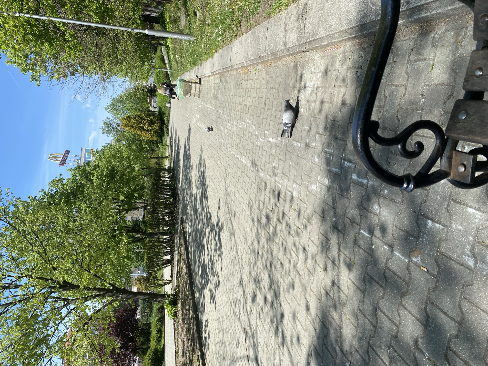 The image captures a sunny daytime scene of a paved pathway in Sofia, Bulgaria, likely in a park or pedestrian area. The pathway, made of grey interlocking pavers, extends into the distance, with long, dappled shadows from the surrounding trees falling across its surface.
Lush green trees and bushes line both sides of the path, indicating a vibrant, green environment. A black, ornate park bench is partially visible in the lower right foreground. Further down the path, a single person is seated on another park bench, partially obscured by foliage. Two pigeons are seen walking on the paved surface, one closer to the viewer and another further away.
The sky above is bright blue with a few scattered white clouds, signifying clear and sunny weather. In the distance, a tall pole bears a prominent McDonald's sign, featuring the iconic golden arches and the Cyrillic text "Драйв" (Drive) visible beneath. The strong sunlight and the length of the shadows suggest it is morning or early afternoon. The scene conveys a peaceful, everyday atmosphere in an urban green space.