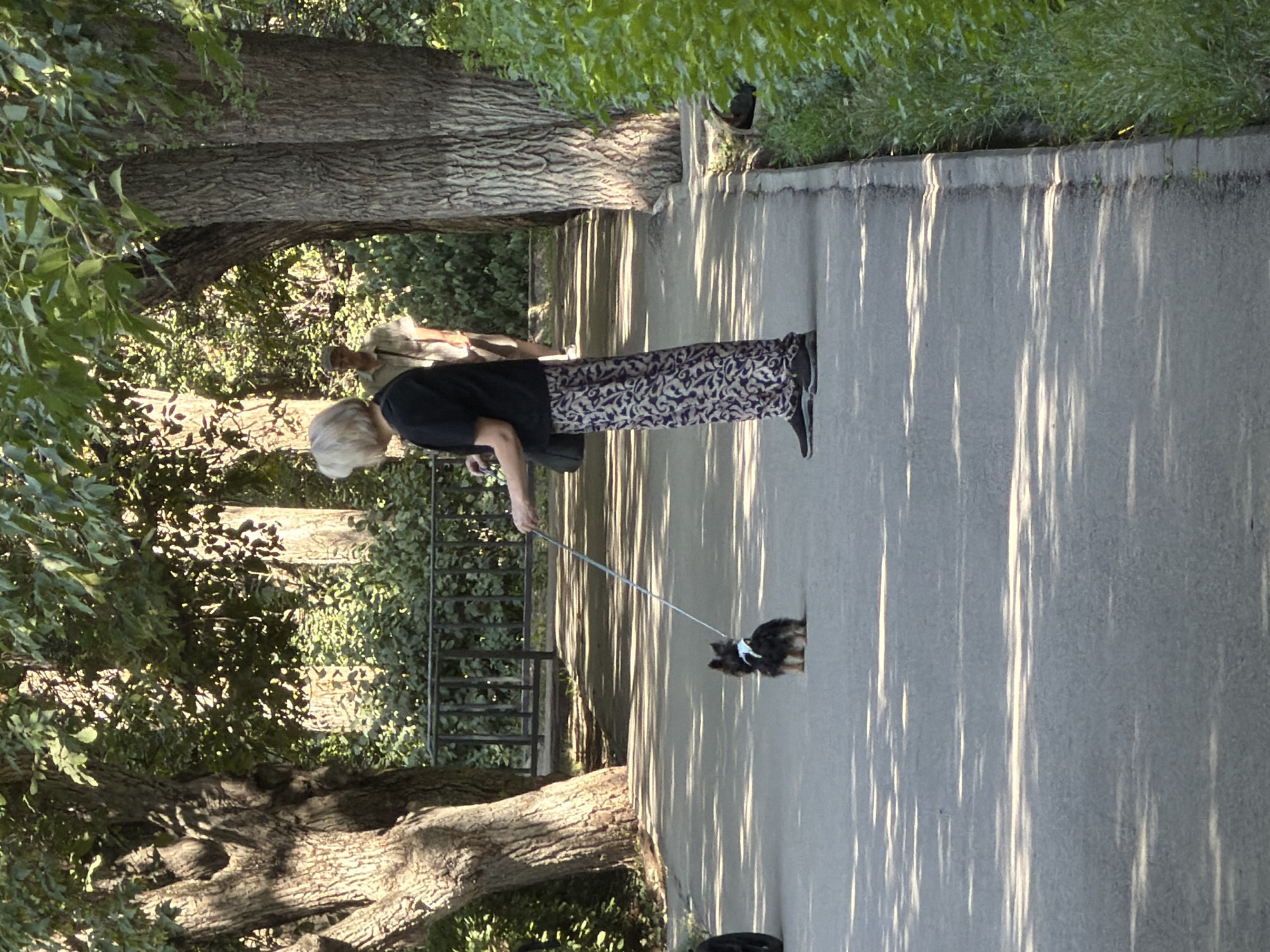 In an outdoor park setting, a woman with short blonde hair, wearing a black t-shirt and patterned pants, walks a small black and tan dog on a leash. The dog is facing away from the camera. Another person, partially visible in the background, is wearing a light-colored shirt and a cap. The scene takes place on a paved path, bordered by grass and large trees with dappled sunlight filtering through the leaves. A metal fence is visible in the mid-ground.