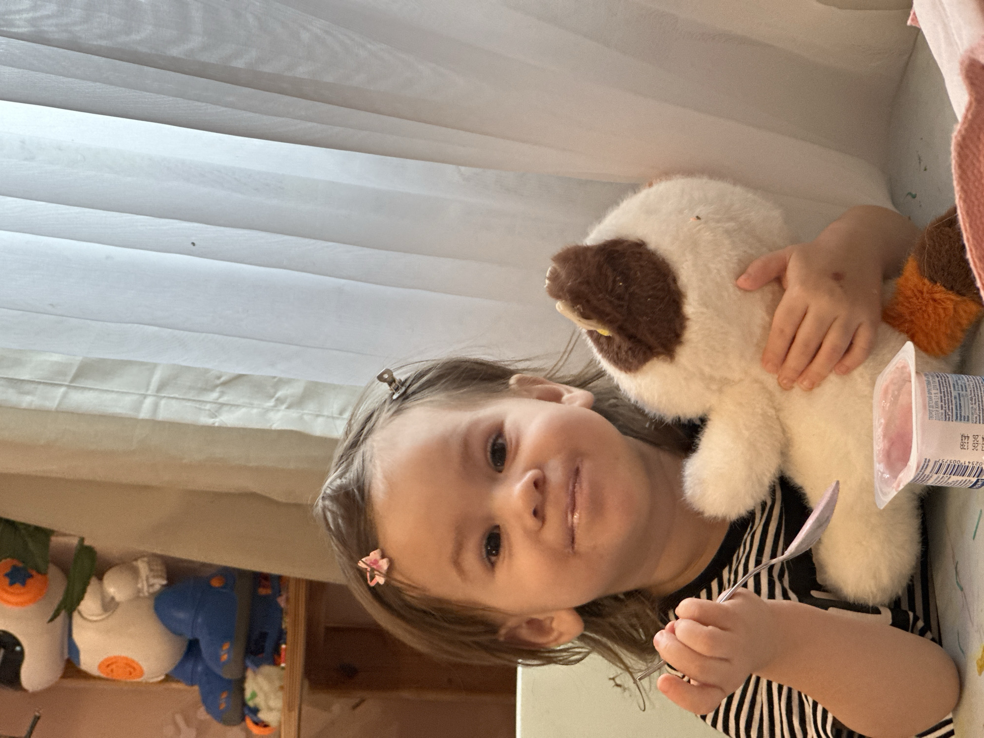 A young child is holding a stuffed dog and a container of yogurt. The child is wearing a black and white striped shirt and has a small flower clip in her hair. A spoon is in her hand. Toys can be seen on a shelf under the child, and a window with white curtains is in the background. The location is not detectable from the image.